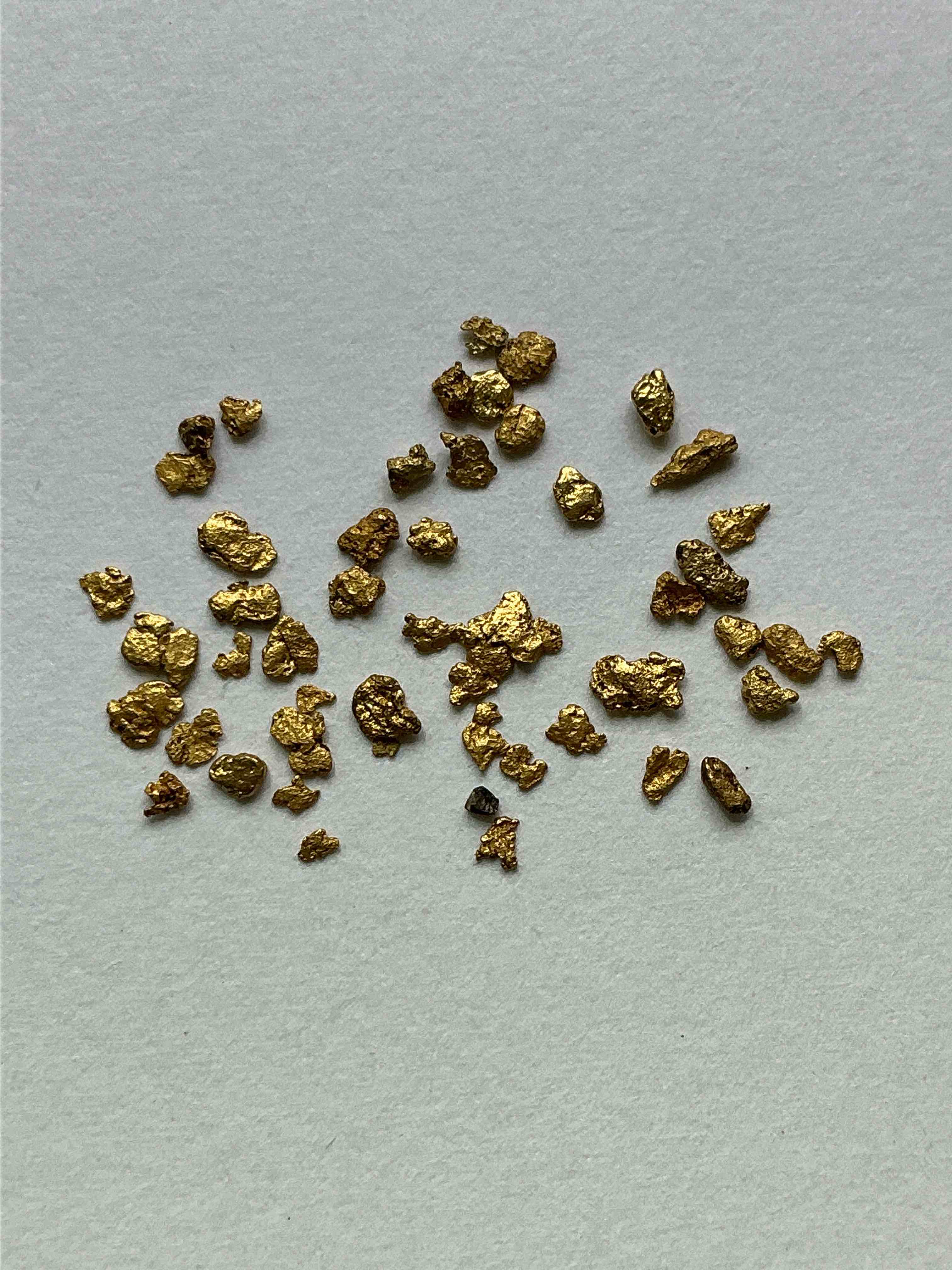 Collector's Dream! Pokémon, Sports Cards, Gold & More!