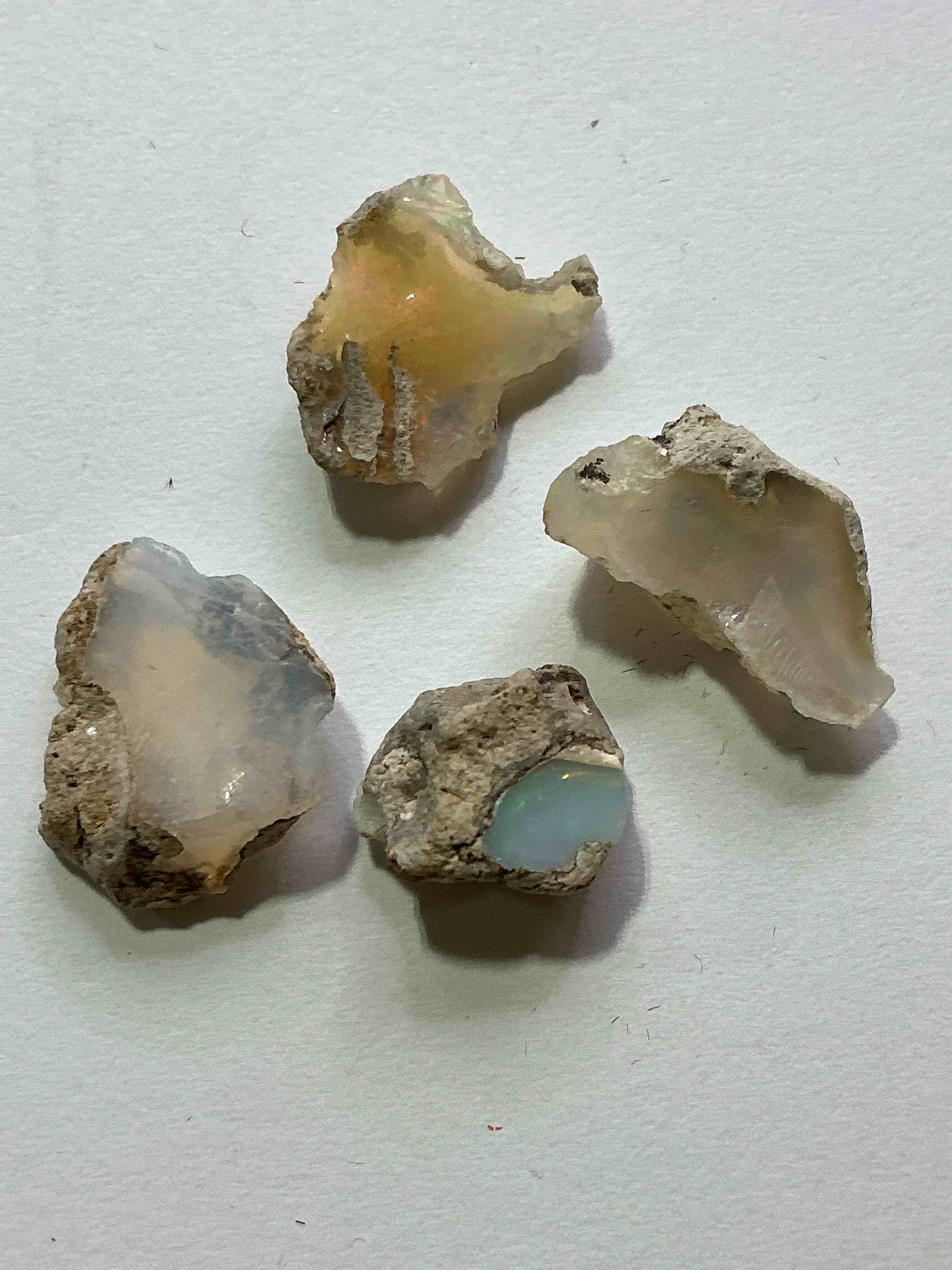 Opal Precious Gemstone, Raw, Authentic! Ethiopian Opal Gemstone, In Large & Raw, Prospected Form! Ethiopian Opals Are Famous For Their Stunning Clarity & Shimmering Color Hues! They Are Believed To Promote Hope, Purity & Love. The U.S. Dime In Image Is For Size Reference Only (Not Included). A Gemstone Like This In Raw Form Is Very Hard To Find! Own An Amazing, Stunning, Unique Opal Gemstone In Rare, Raw Form!
