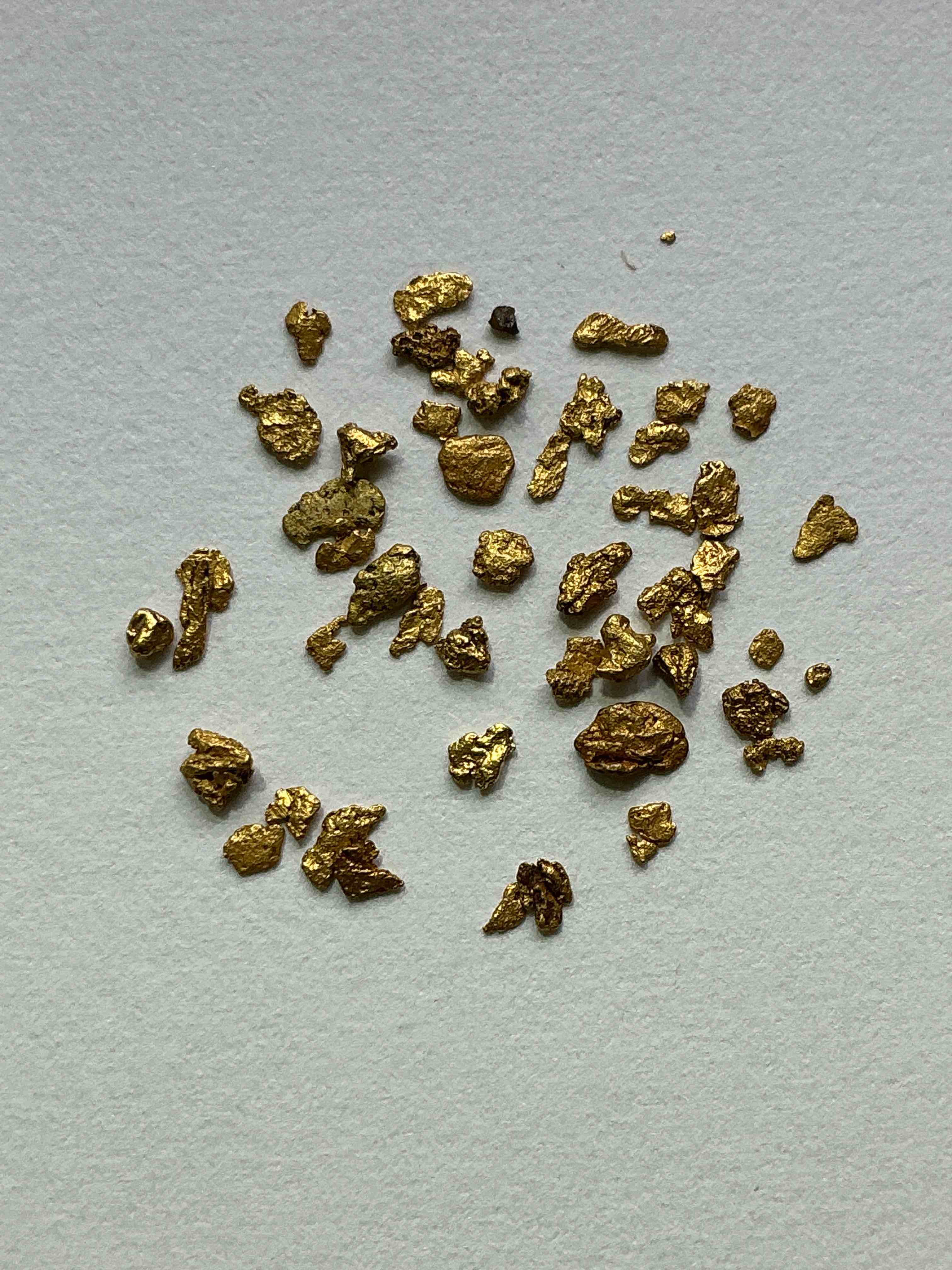 Collector’s Christmas! Pokémon, Sports Cards, Gold & More!