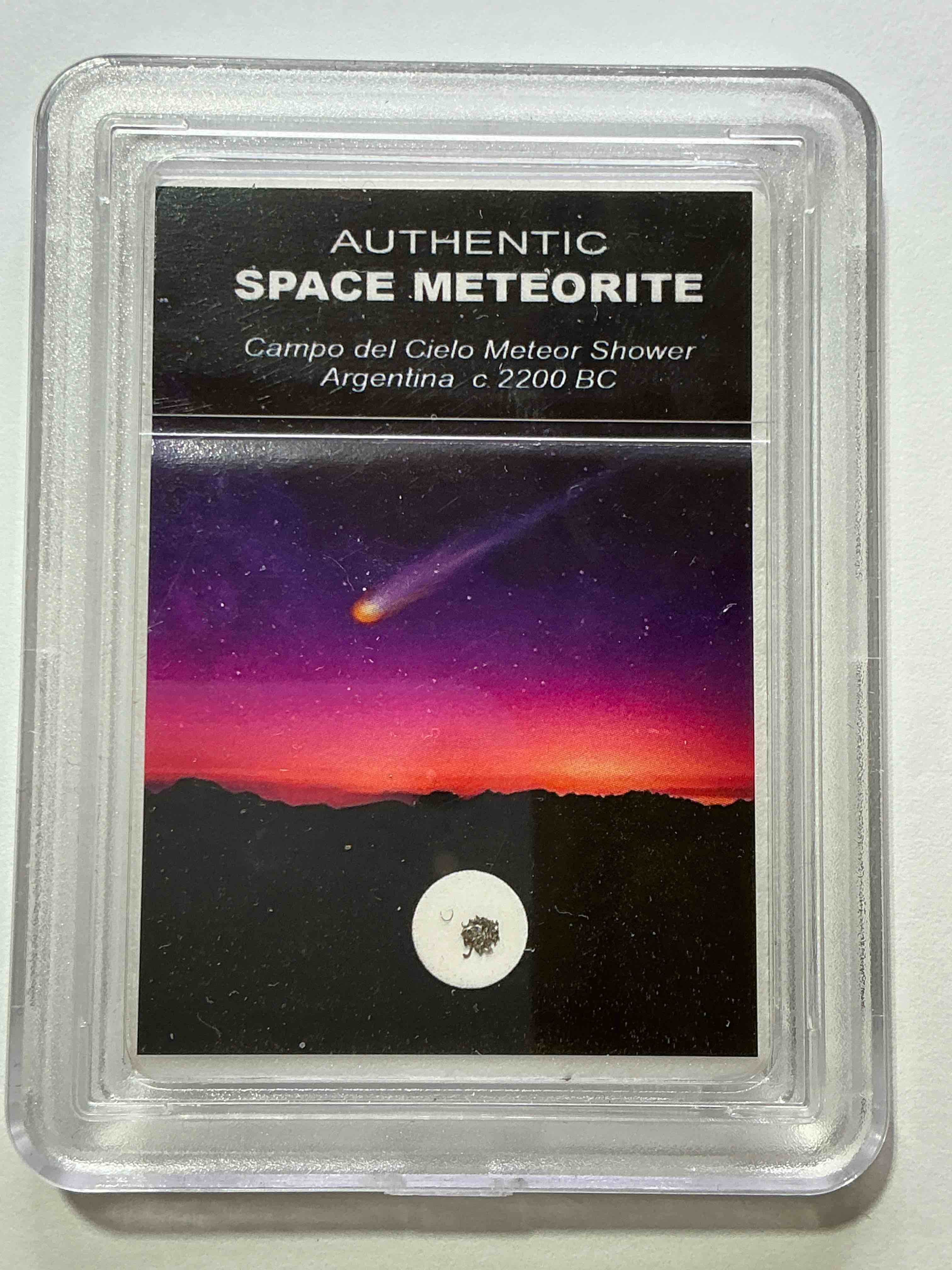 Collector’s Christmas! Pokémon, Sports Cards, Coins & More!