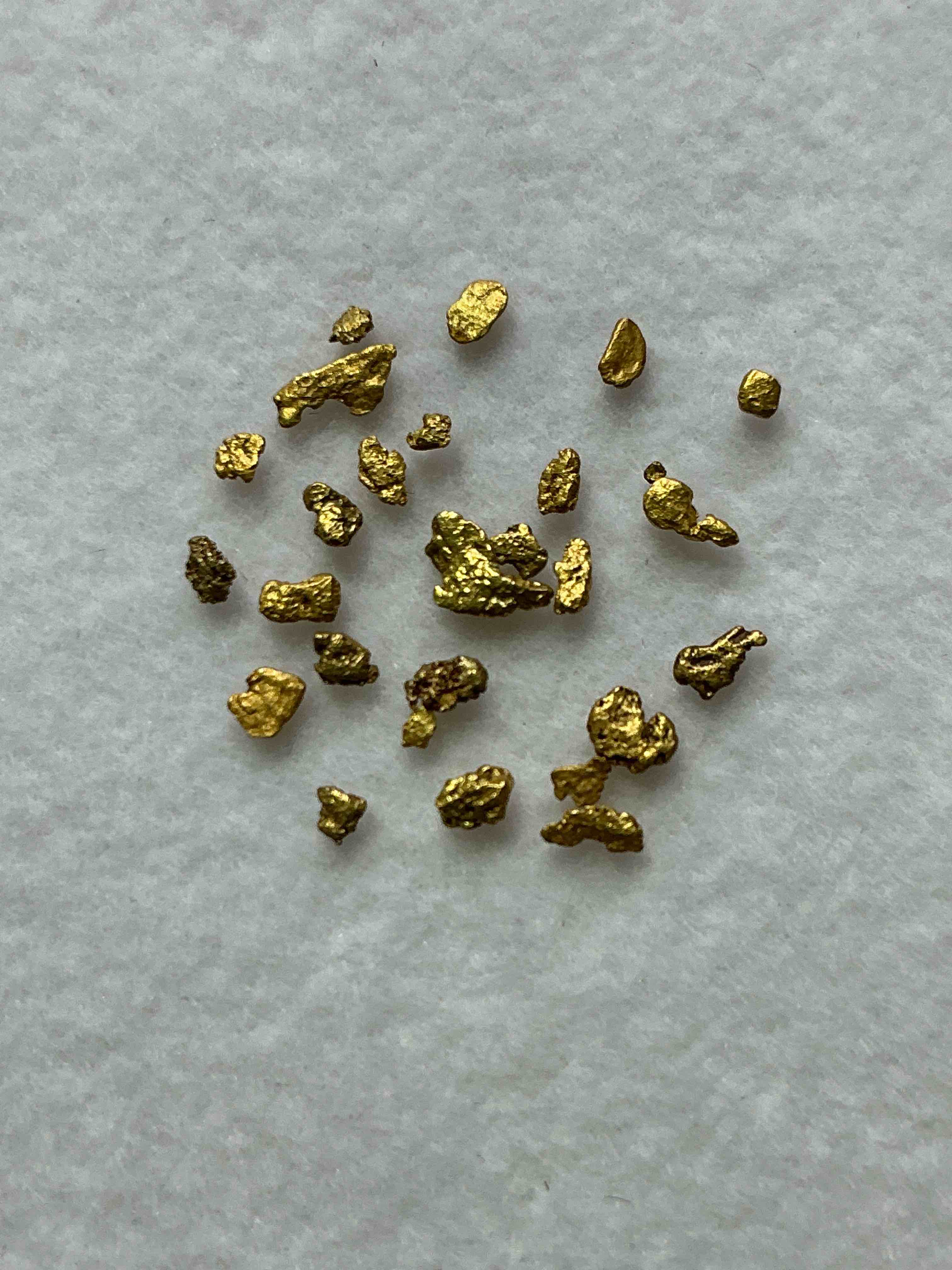 Collector’s Christmas! Sports Cards, Gold, Pokémon & More!