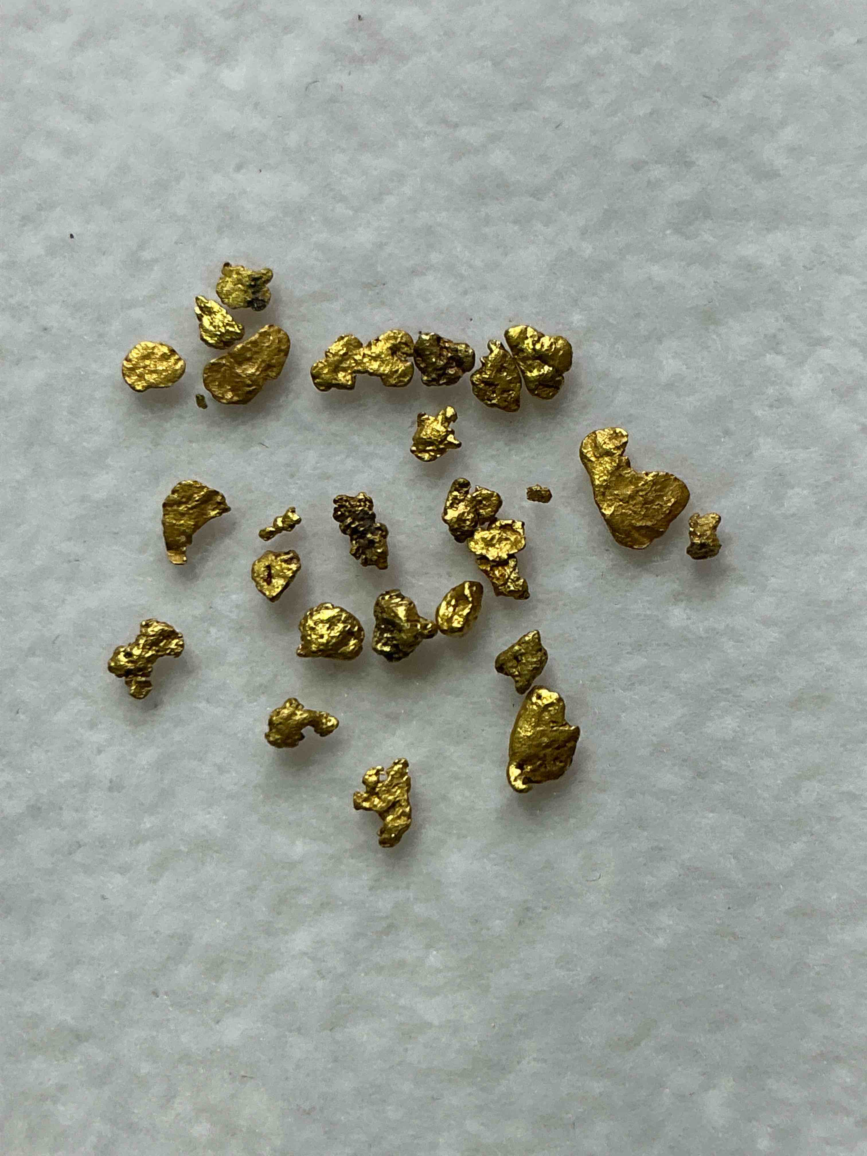 Collector’s Christmas! Sports Cards, Gold, Pokémon & More!