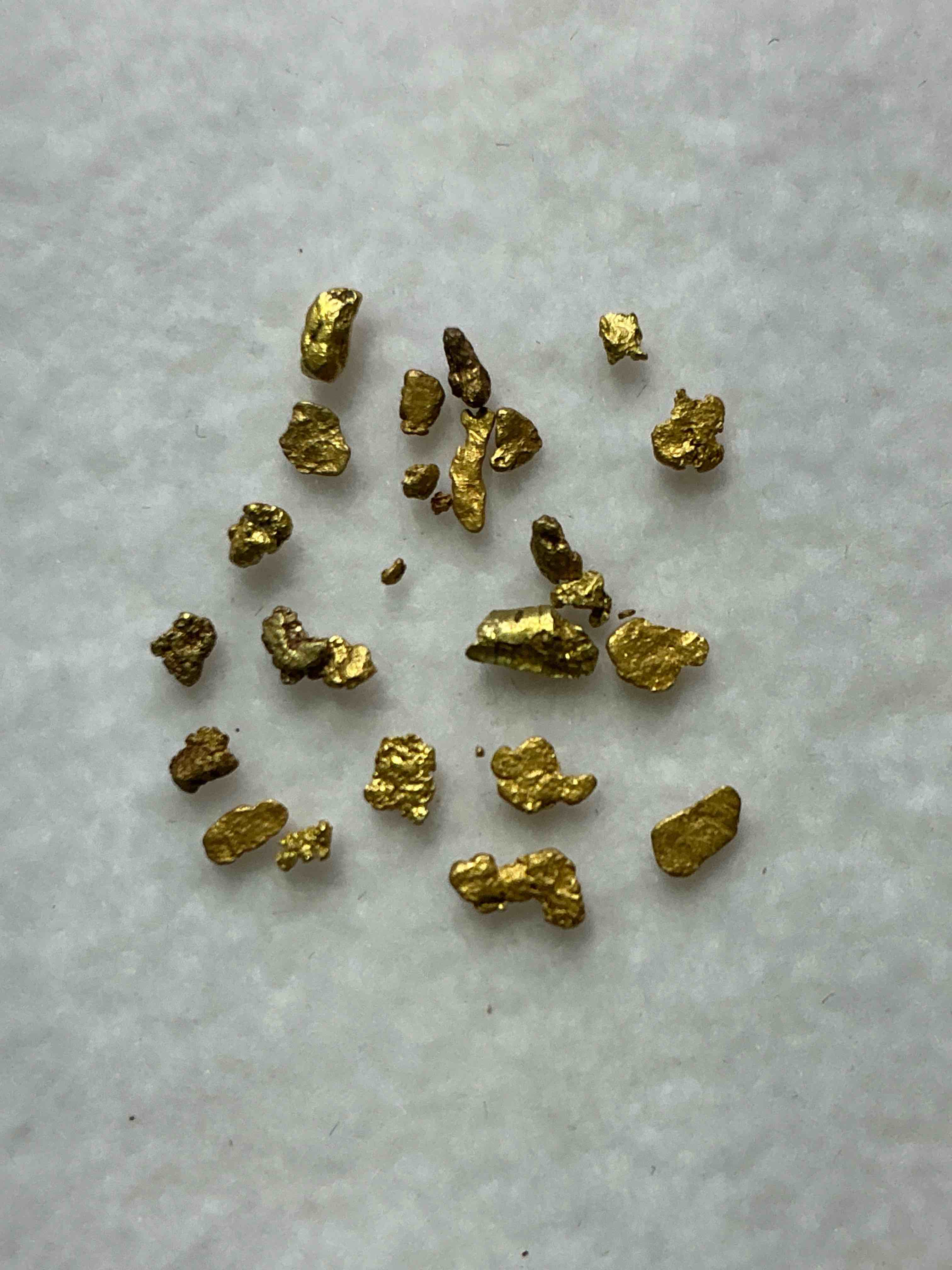 Collector’s Christmas! Pokémon, Sports Cards, Gold & More!