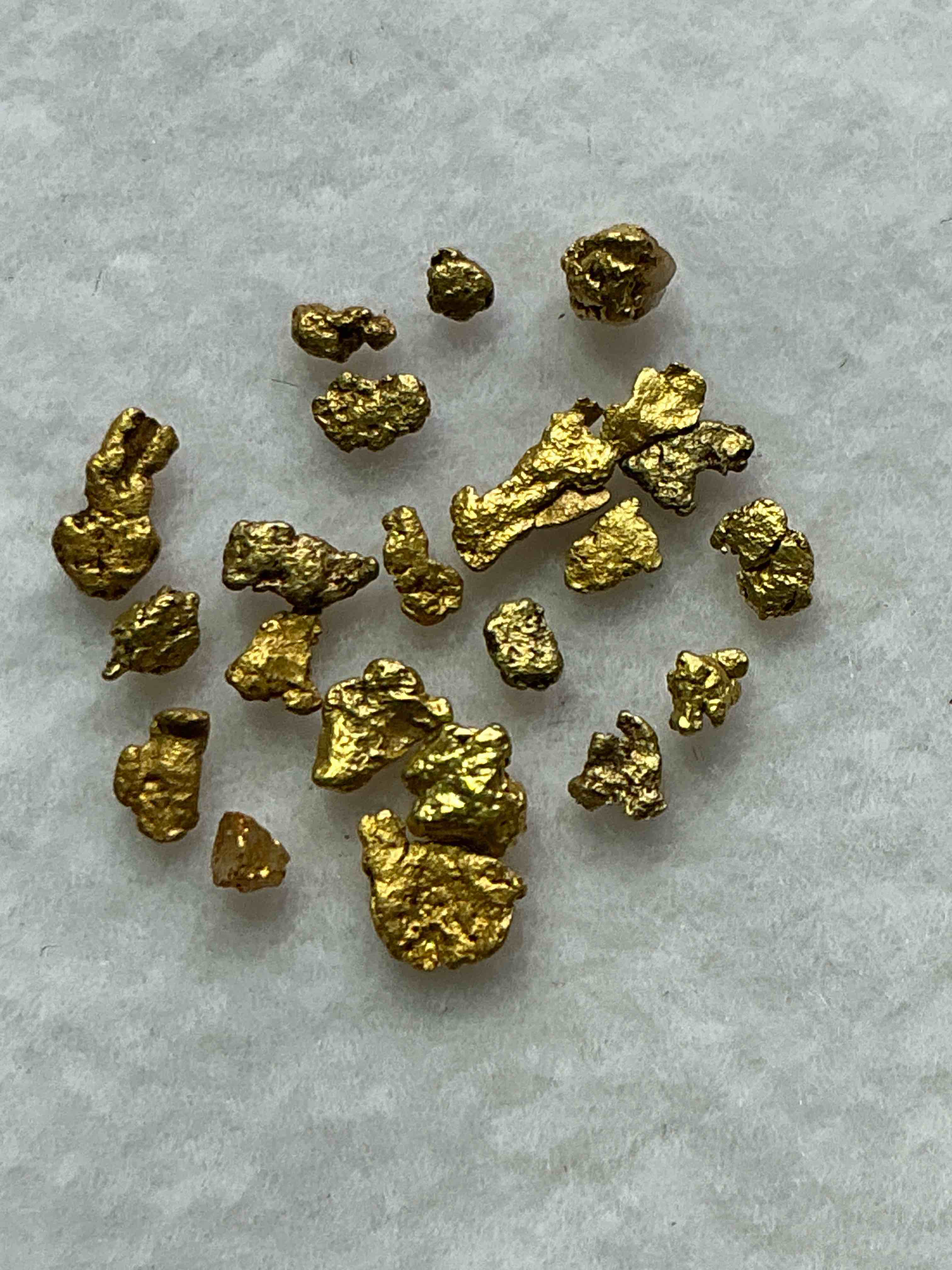 Collector’s Christmas! Pokémon, Sports Cards, Gold & More!