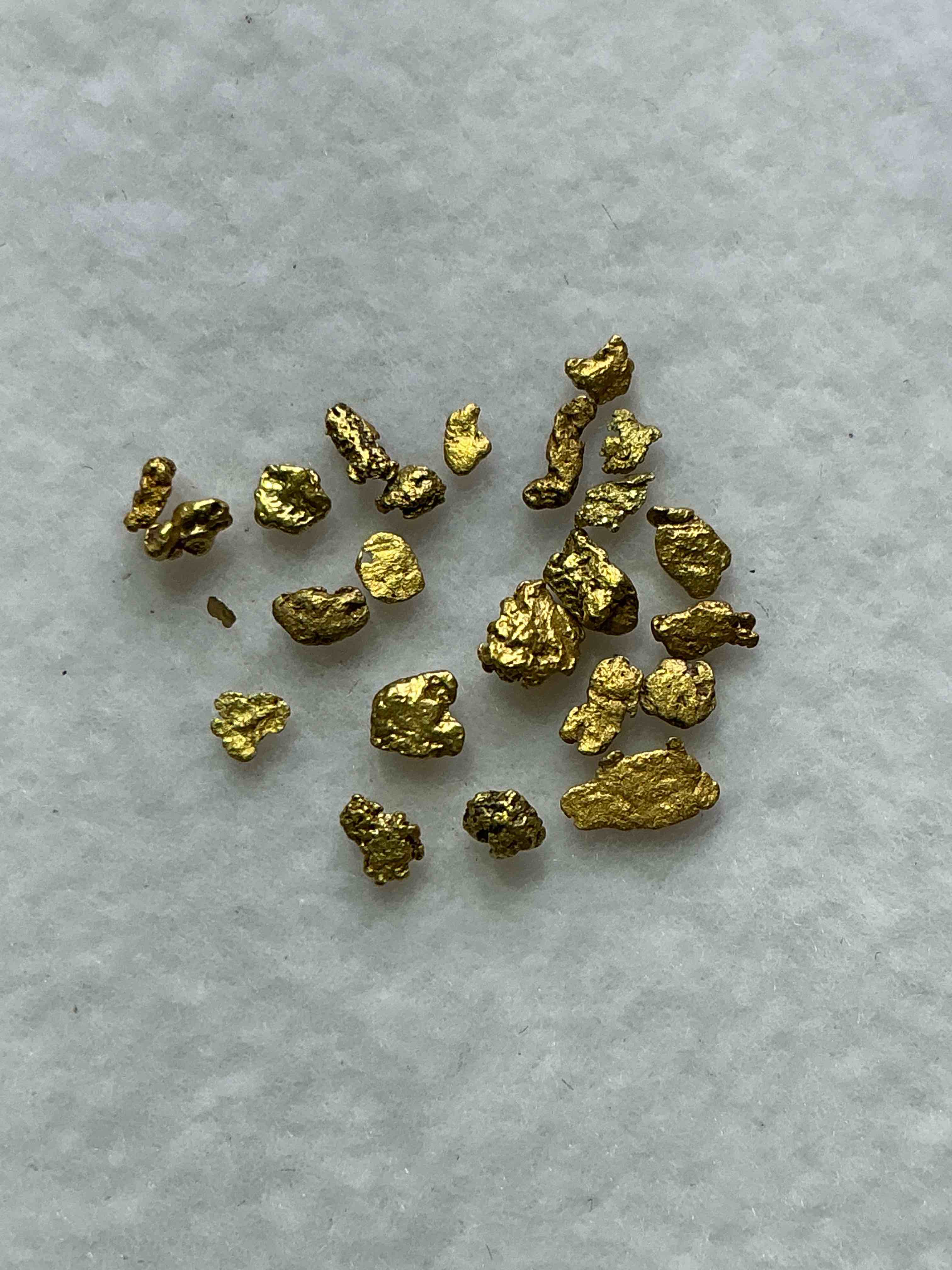 Collector’s Dream! Sports Cards, Pokémon, Gold & More!