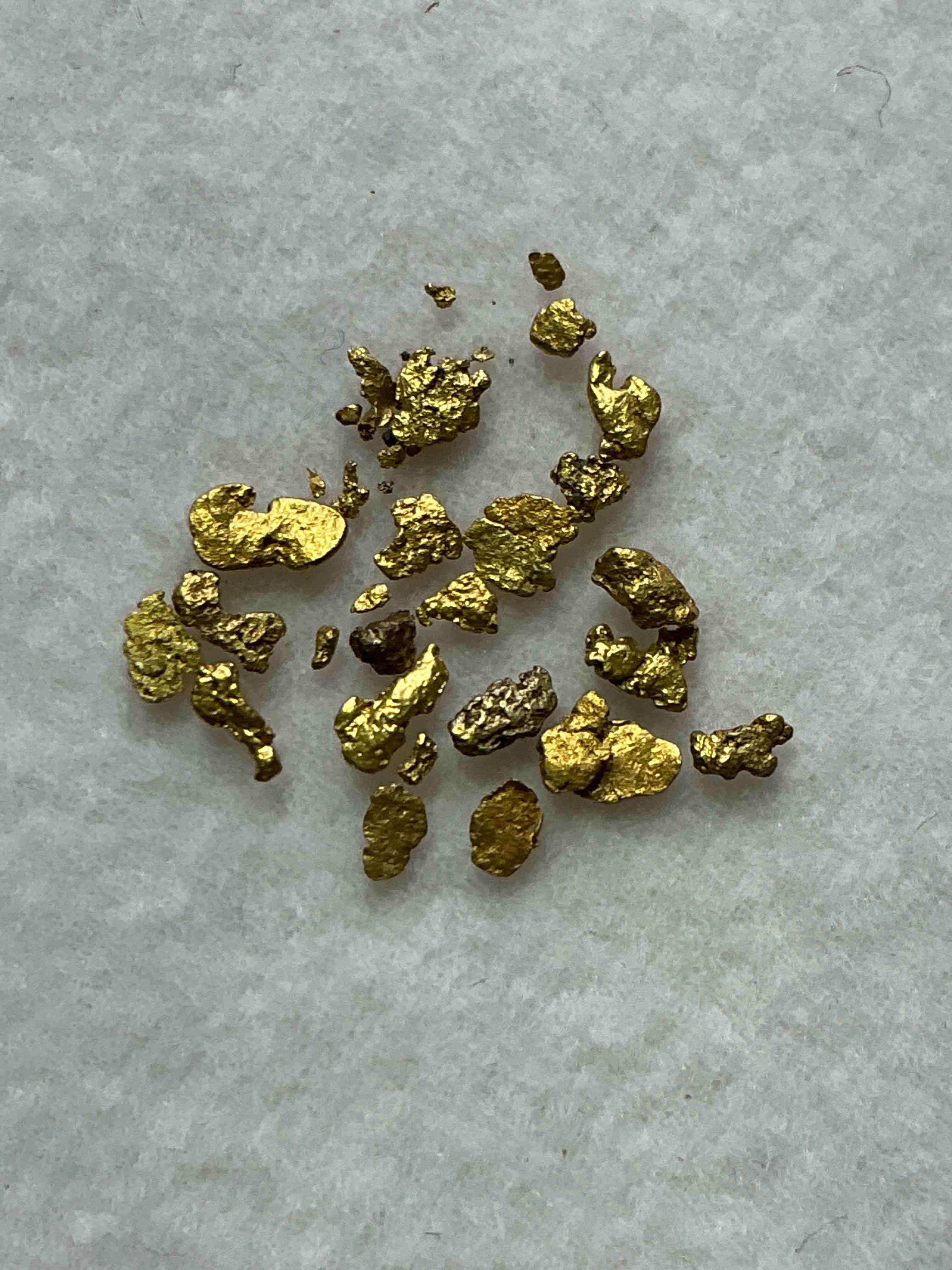 Collector's Dream! Sports Cards, Pokémon, Gold & More!