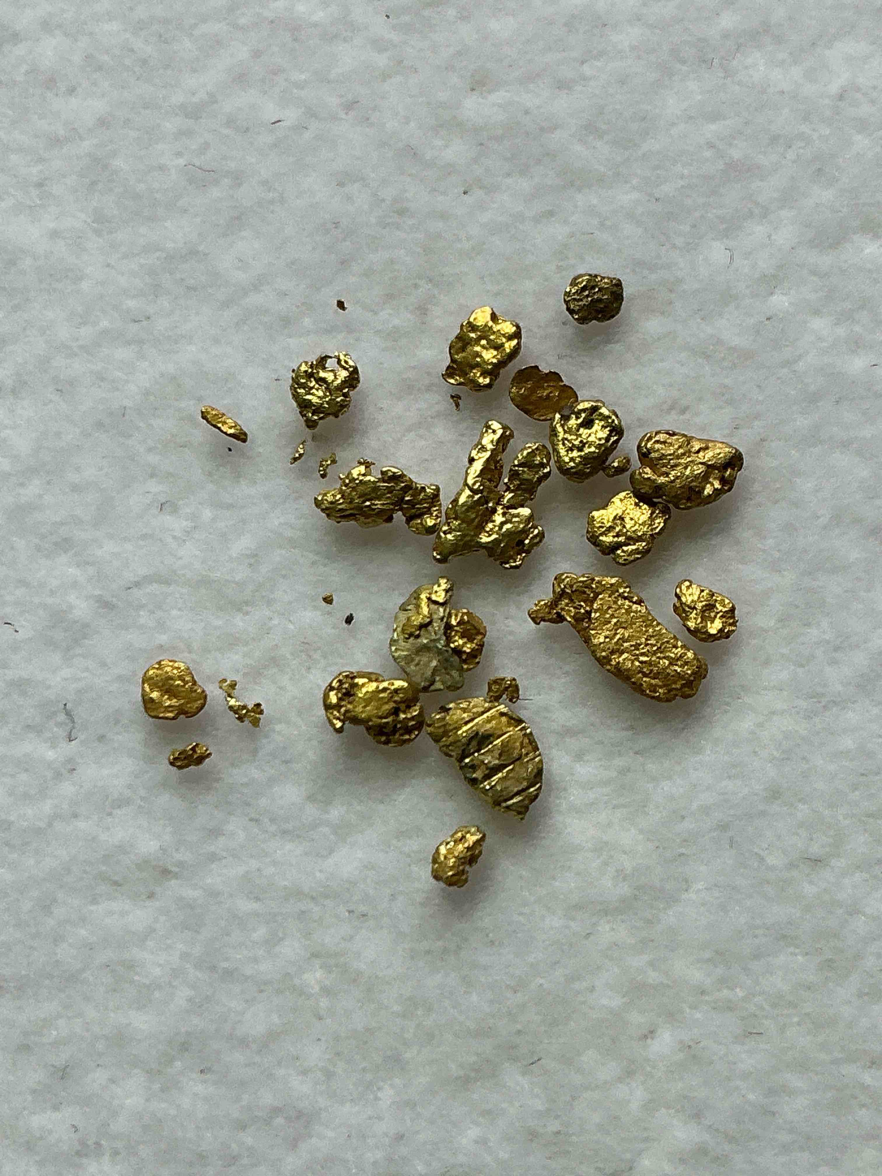 Collector's Dream! Pokémon, Sports Cards, Gold & More!