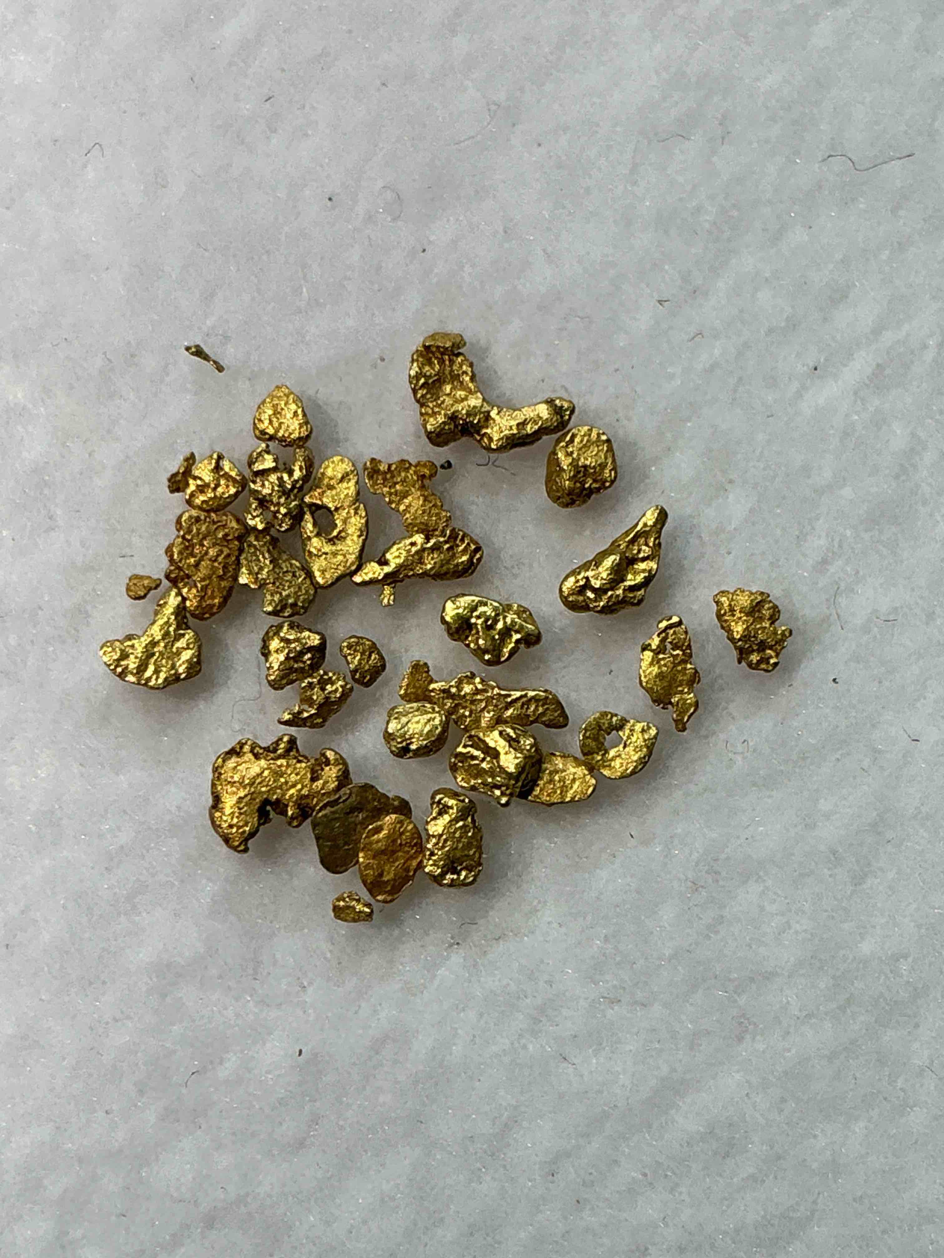 Collector’s Dream! Sports Cards. Pokémon, Gold & More!