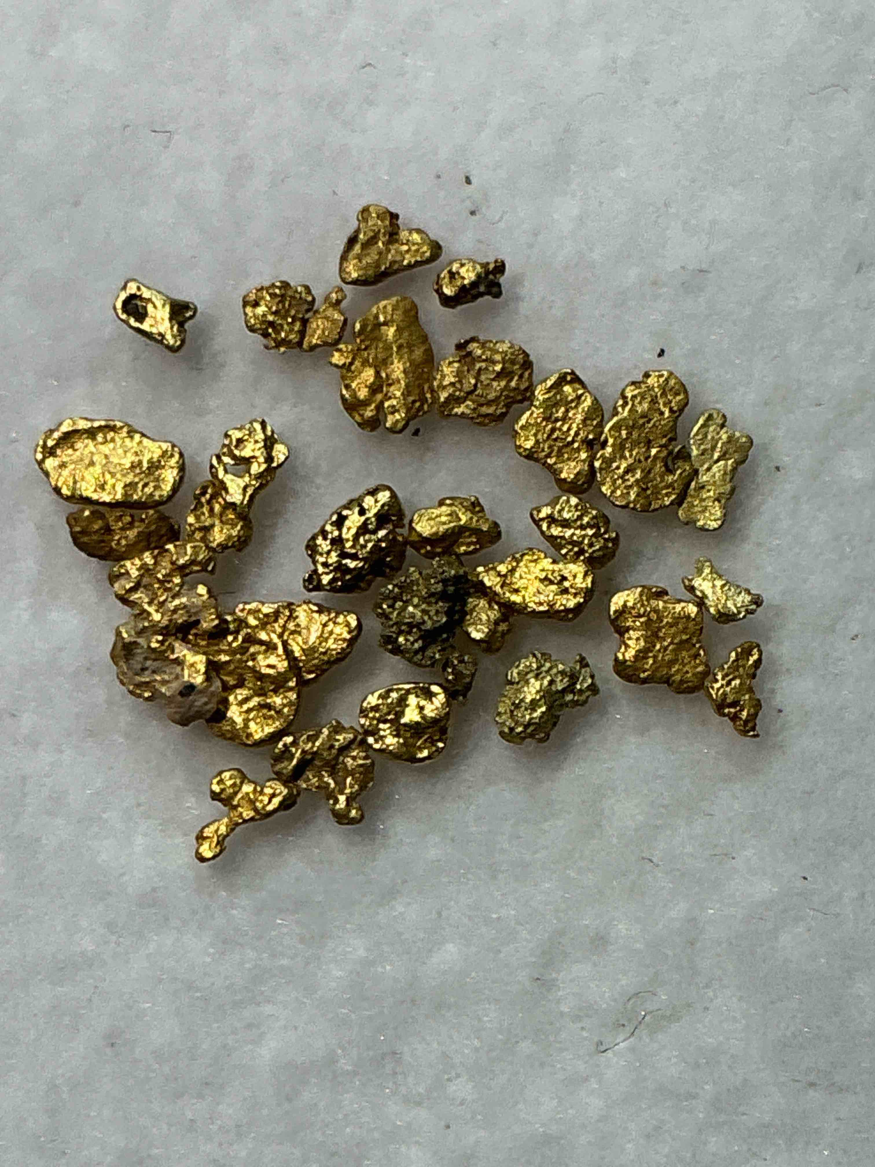 Collector’s Dream! Sports Cards, Pokémon Cards, Coins & More!