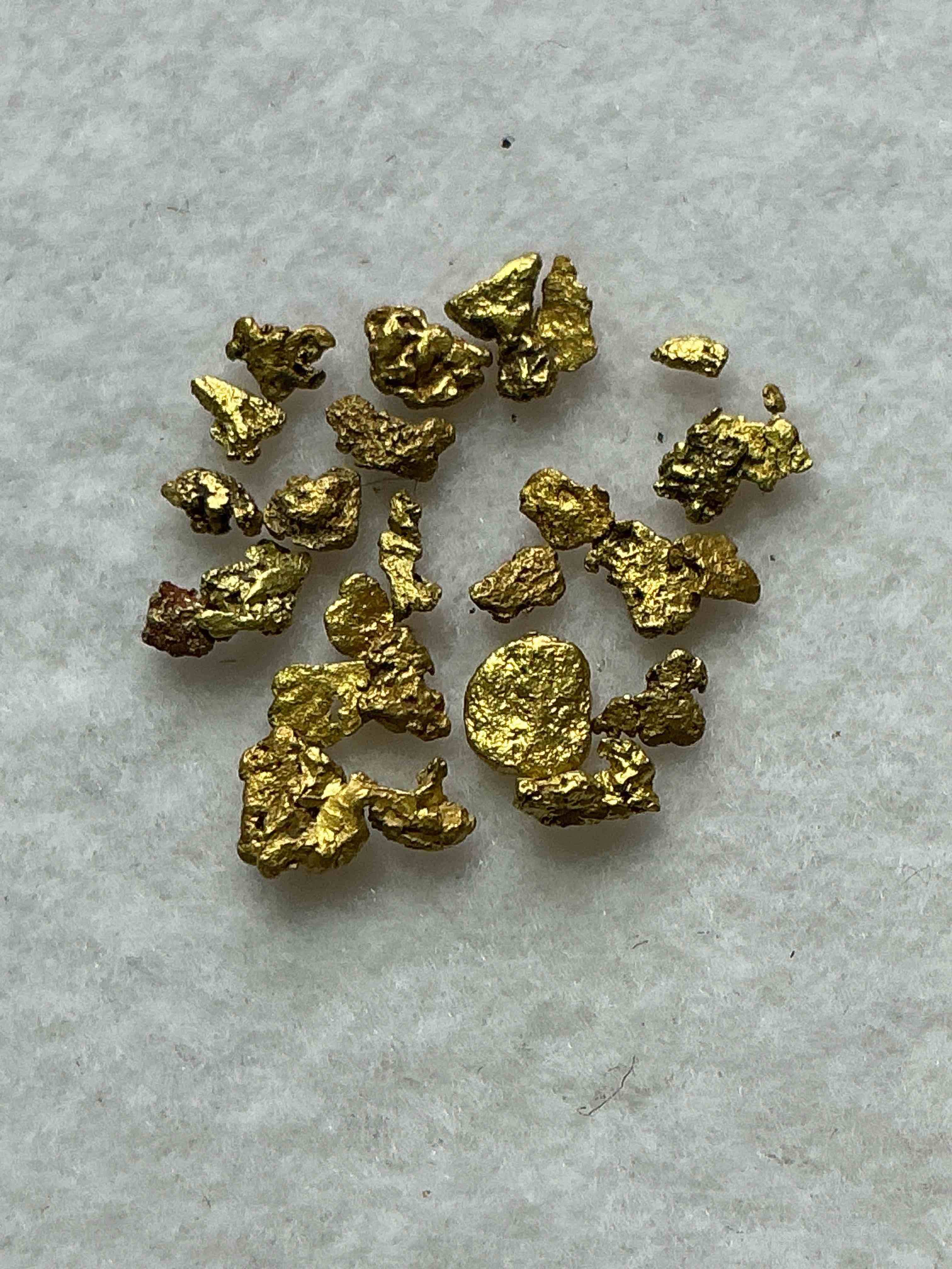 Collector’s Dream! Sports Cards, Pokémon, Gold & More!