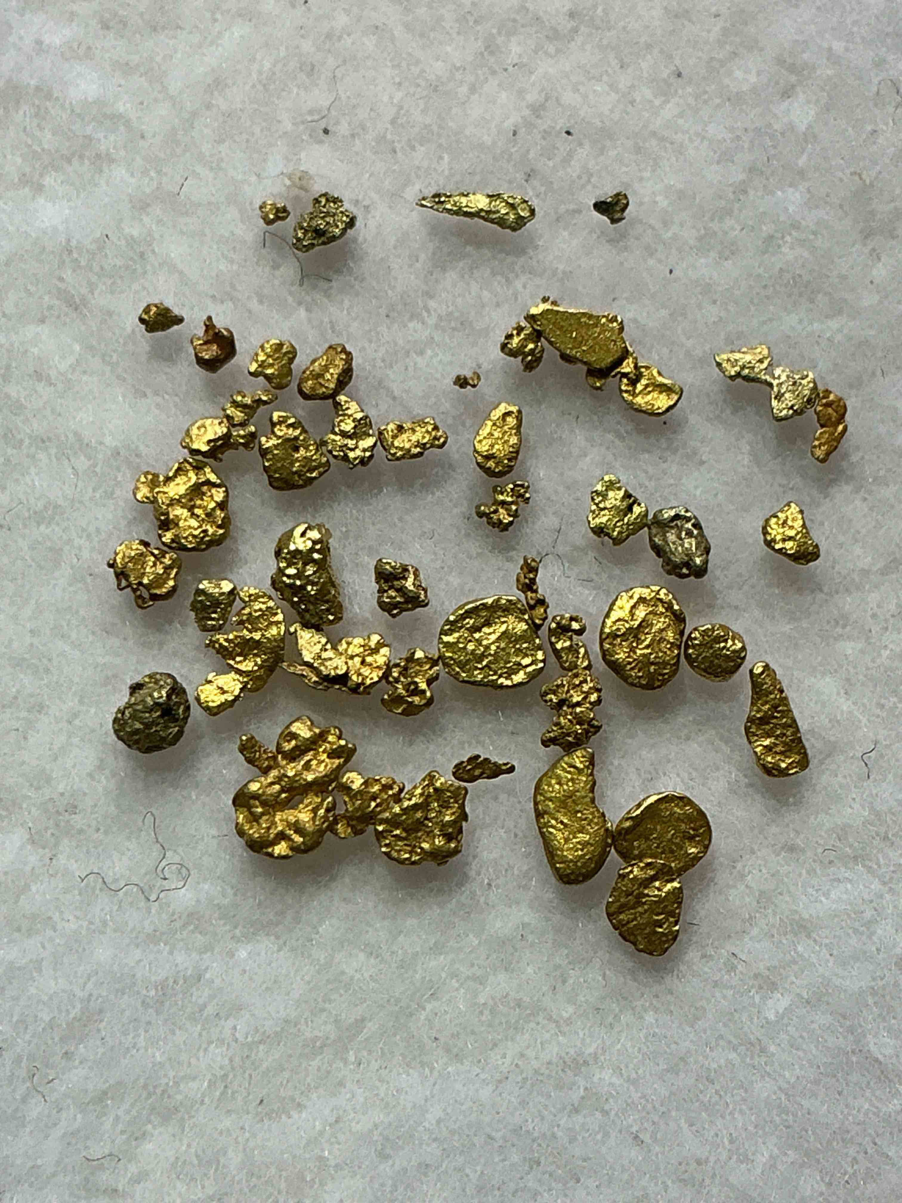 Collector's Dream! Sports Cards, Pokemon, Gold & More!