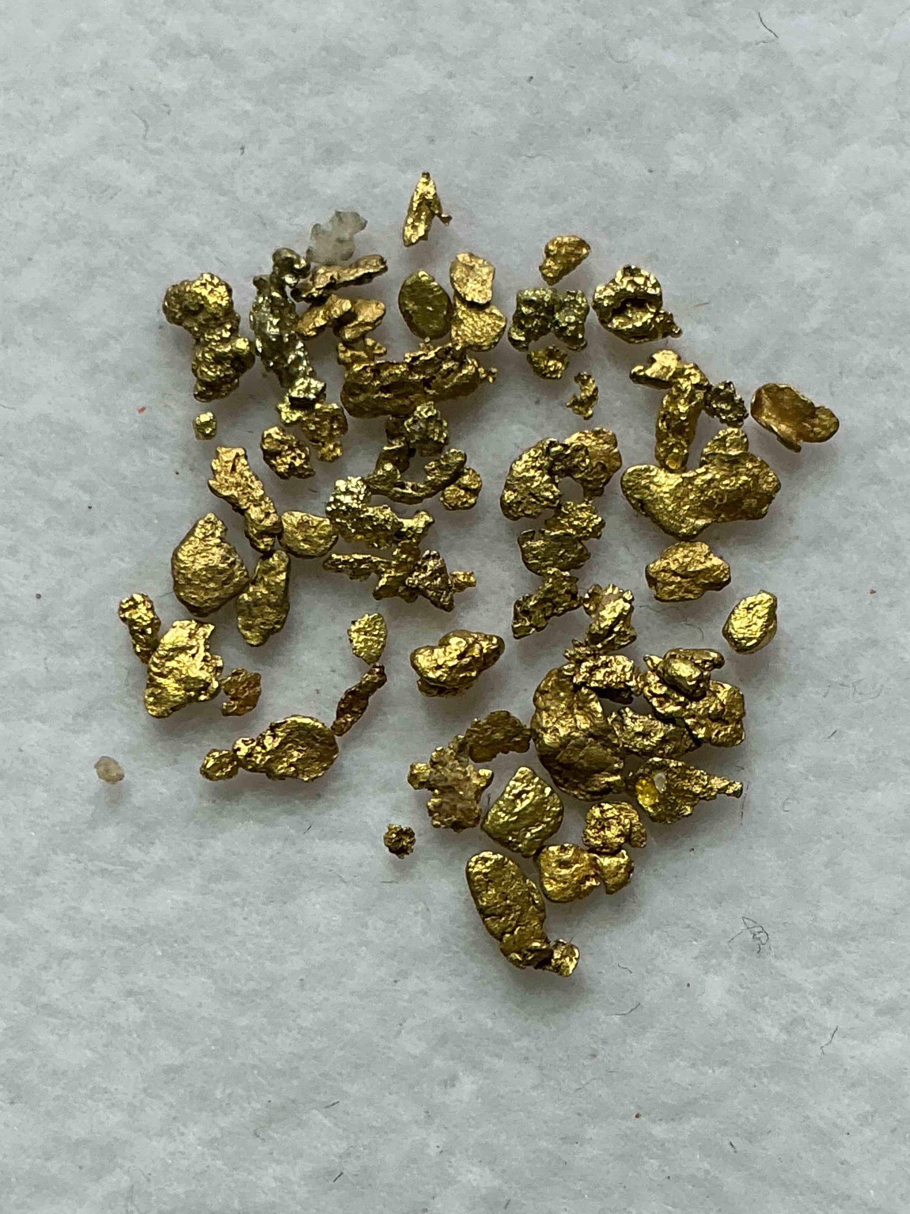 Collector’s Dream! Sports Cards, Pokémon, Gold & More!