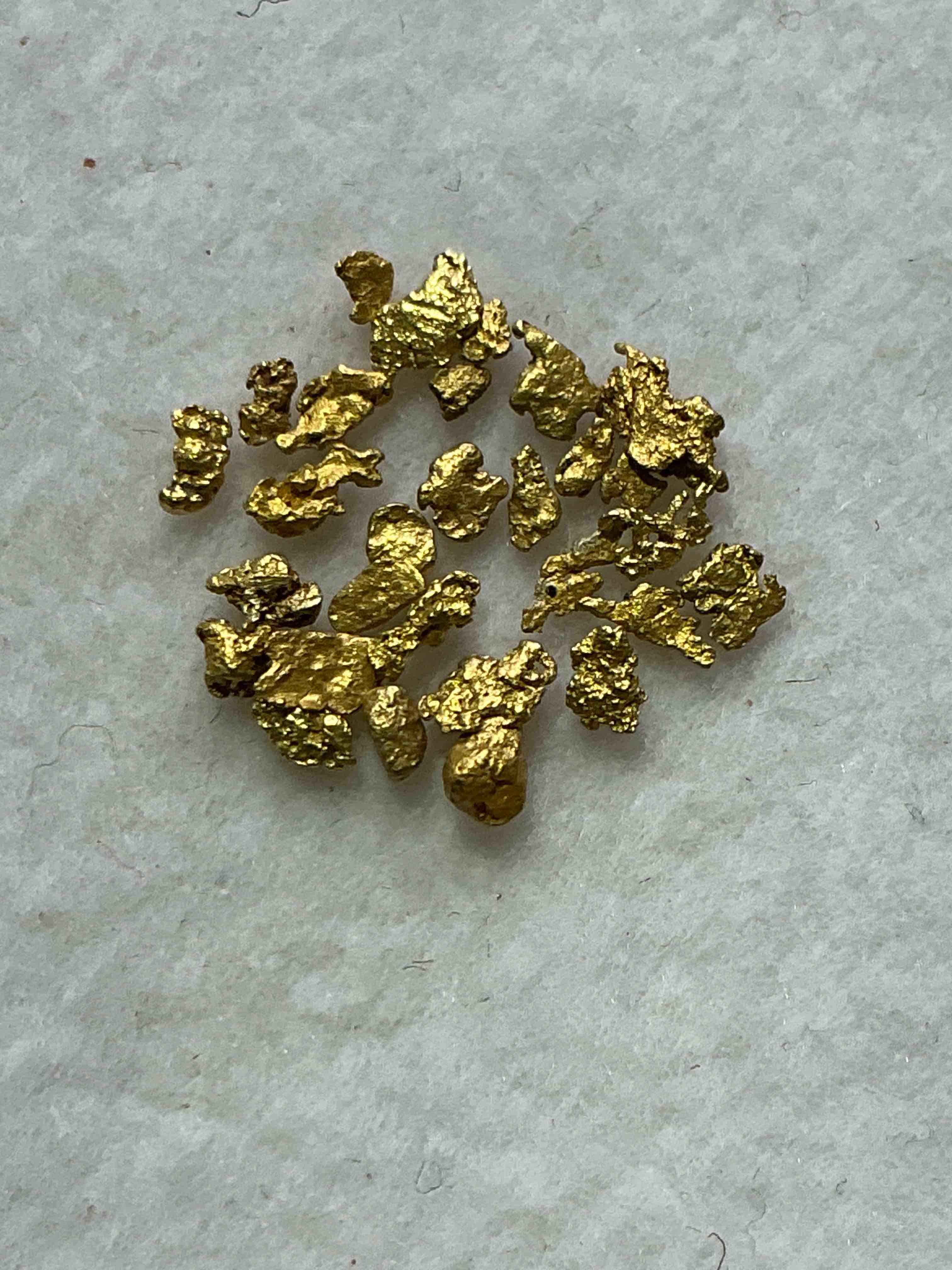 Collector's Dream! Sports Cards, Pokémon, Gold & More!