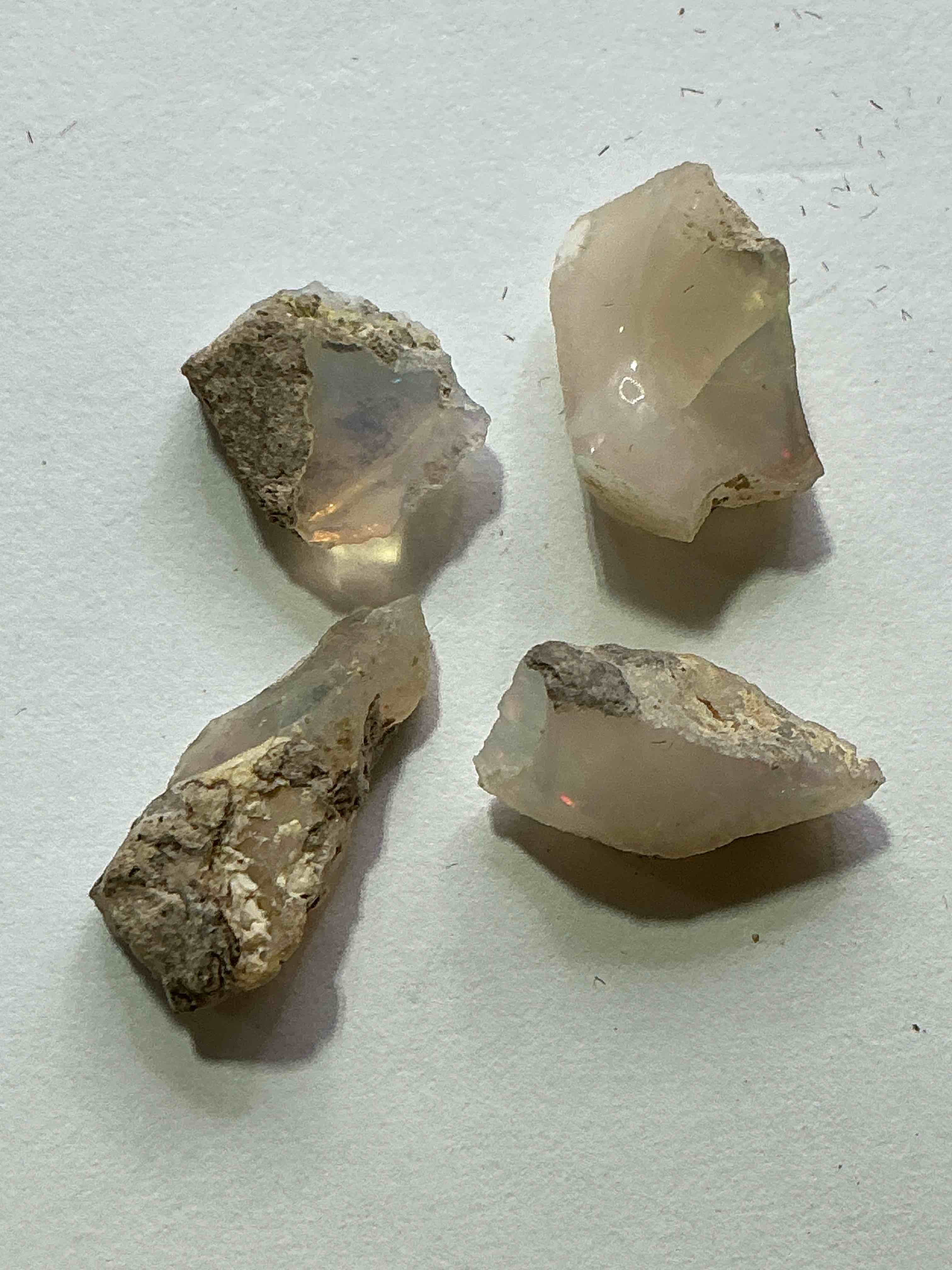 Opal Precious Gemstone, Raw, Authentic! Ethiopian Opal Gemstone, In Large & Raw, Prospected Form! Ethiopian Opals Are Famous For Their Stunning Clarity & Shimmering Color Hues! They Are Believed To Promote Hope, Purity & Love. The U.S. Dime In Image Is For Size Reference Only (Not Included). A Gemstone Like This In Raw Form Is Very Hard To Find! Own An Amazing, Stunning, Unique Opal Gemstone In Rare, Raw Form!