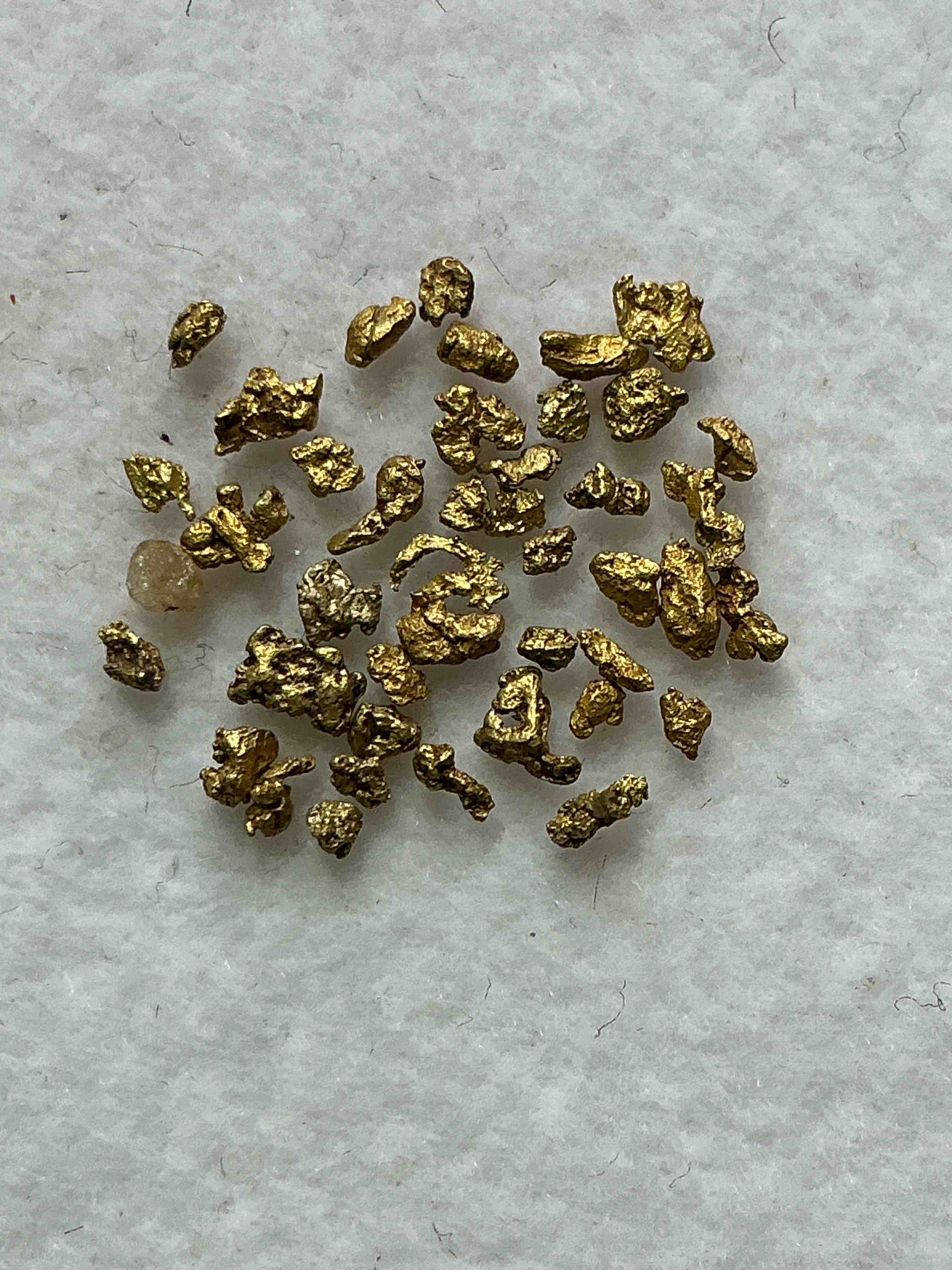 Collector’s Dream! Pokémon, Sports Cards, Gold, Silver & More!