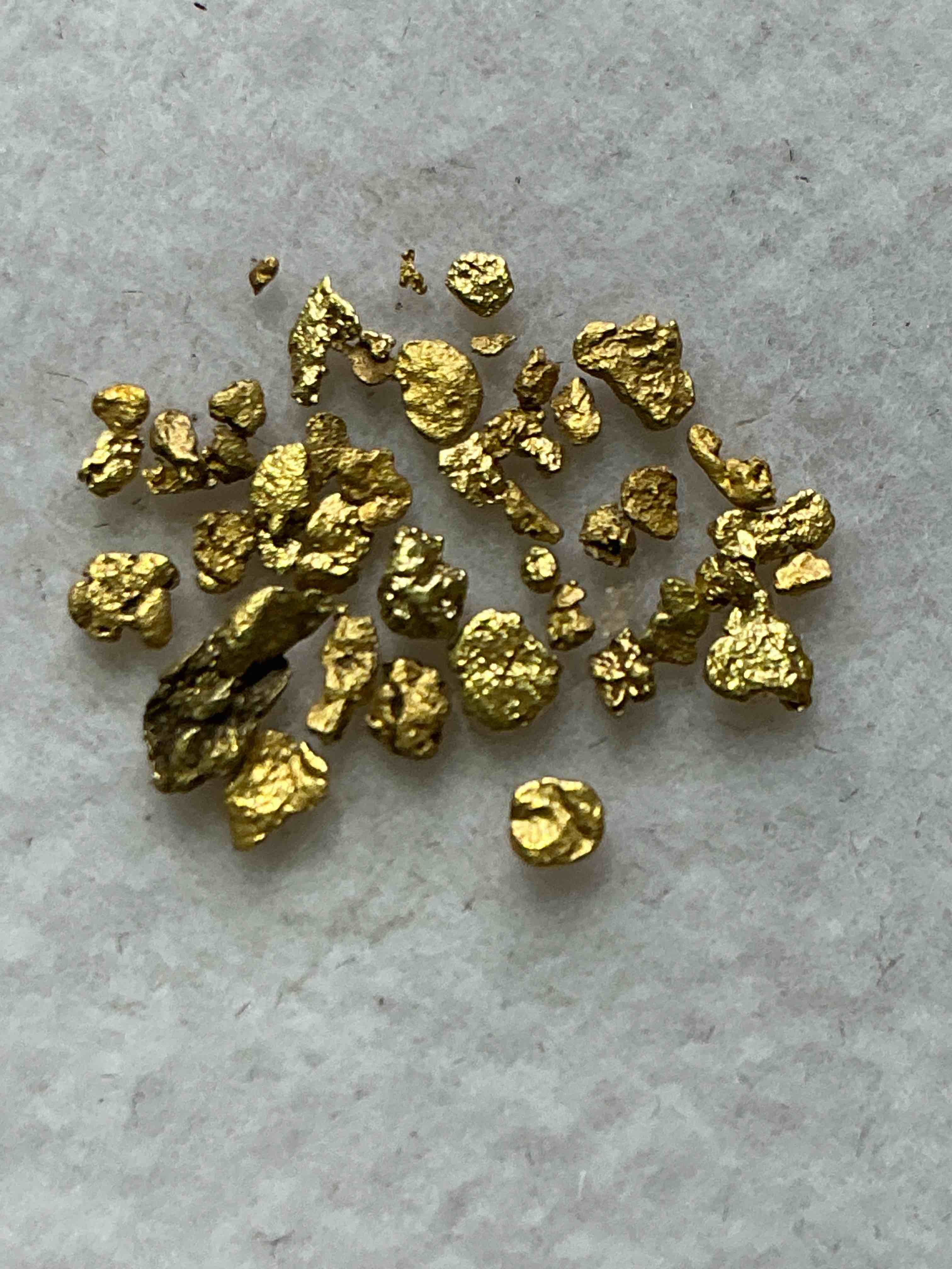 Collector's Dream! Sports Cards, Pokémon Cards, Gold & More!