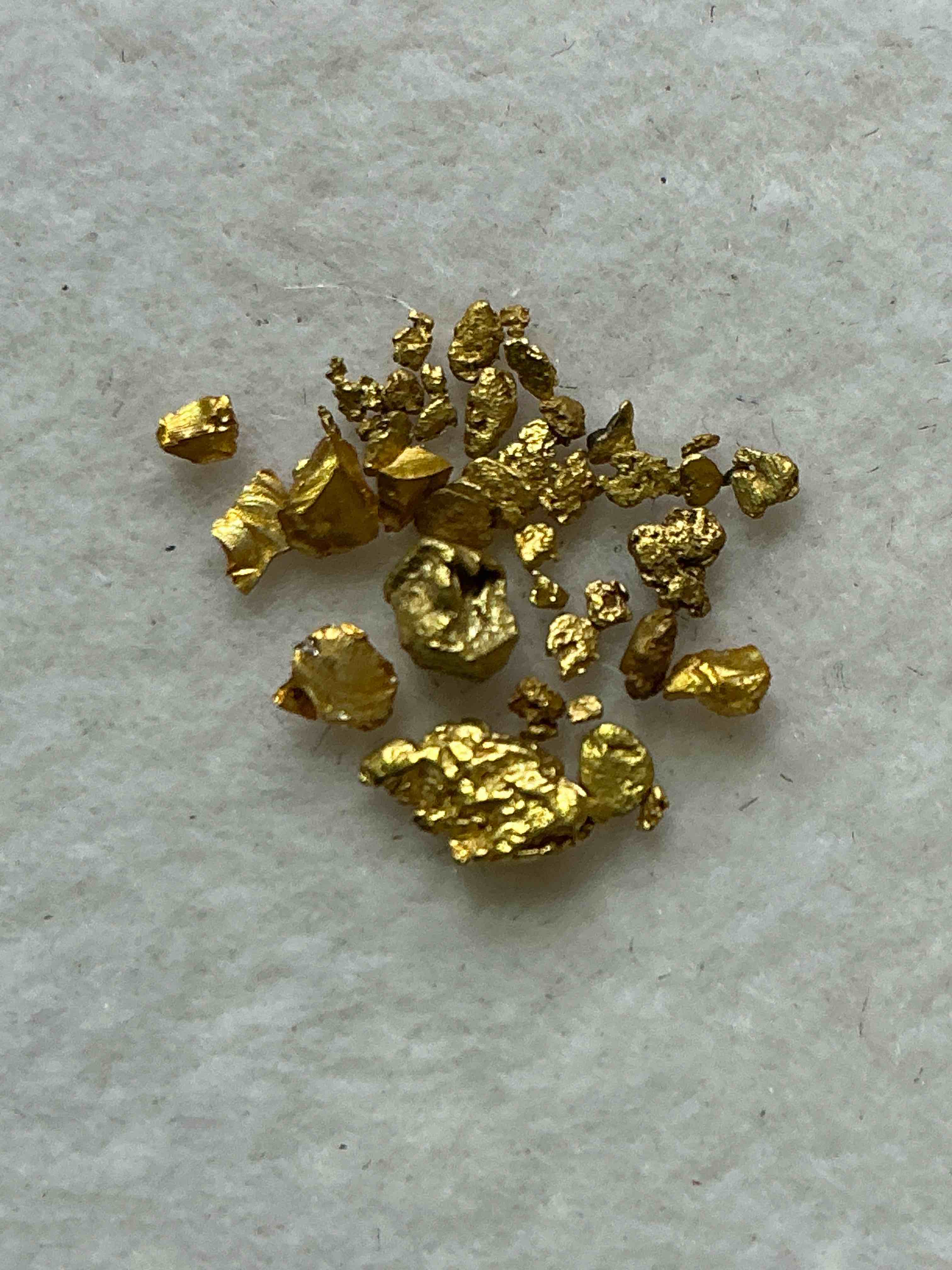 Collector's Dream! Pokémon, Sports Cards, Gold & More!