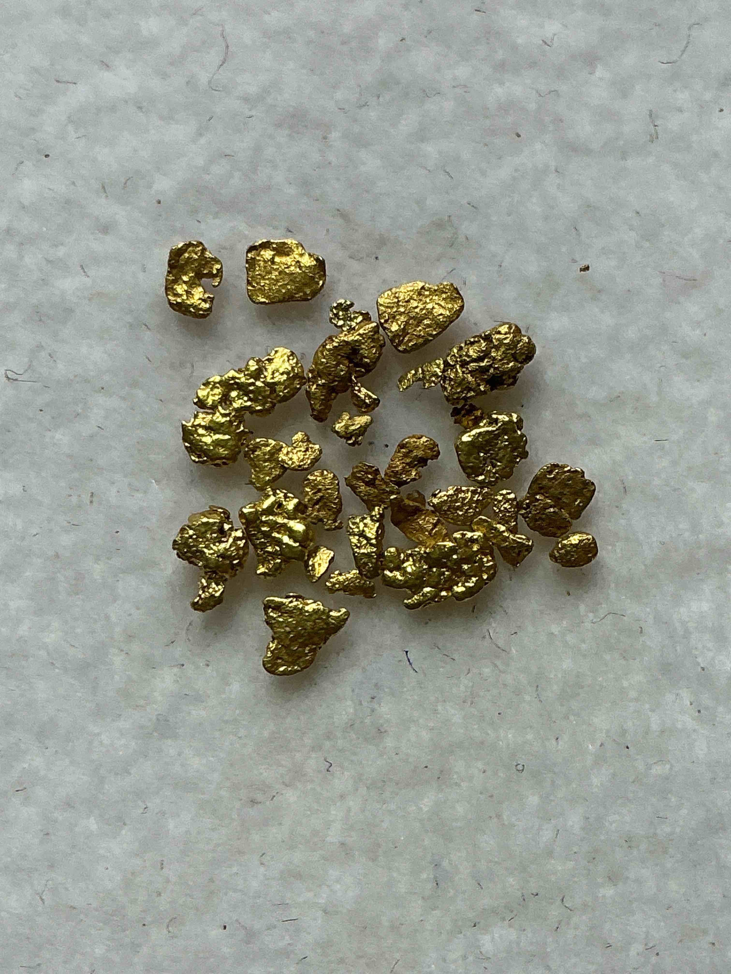 Collector’s Dream! Sports Cards, Pokémon, Gold & More!