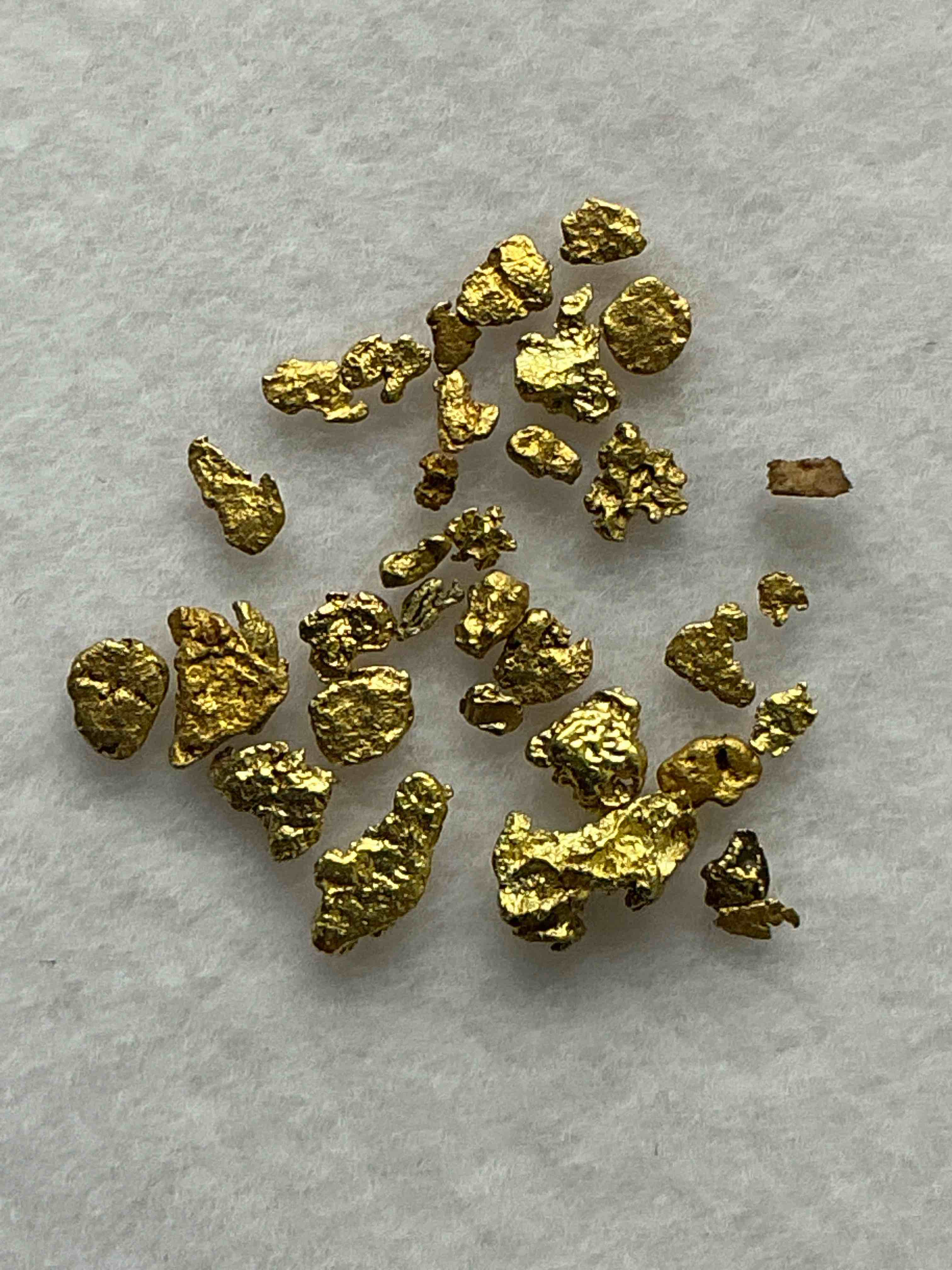 Collector’s Dream! Sports Cards, Pokémon, Gold & More!