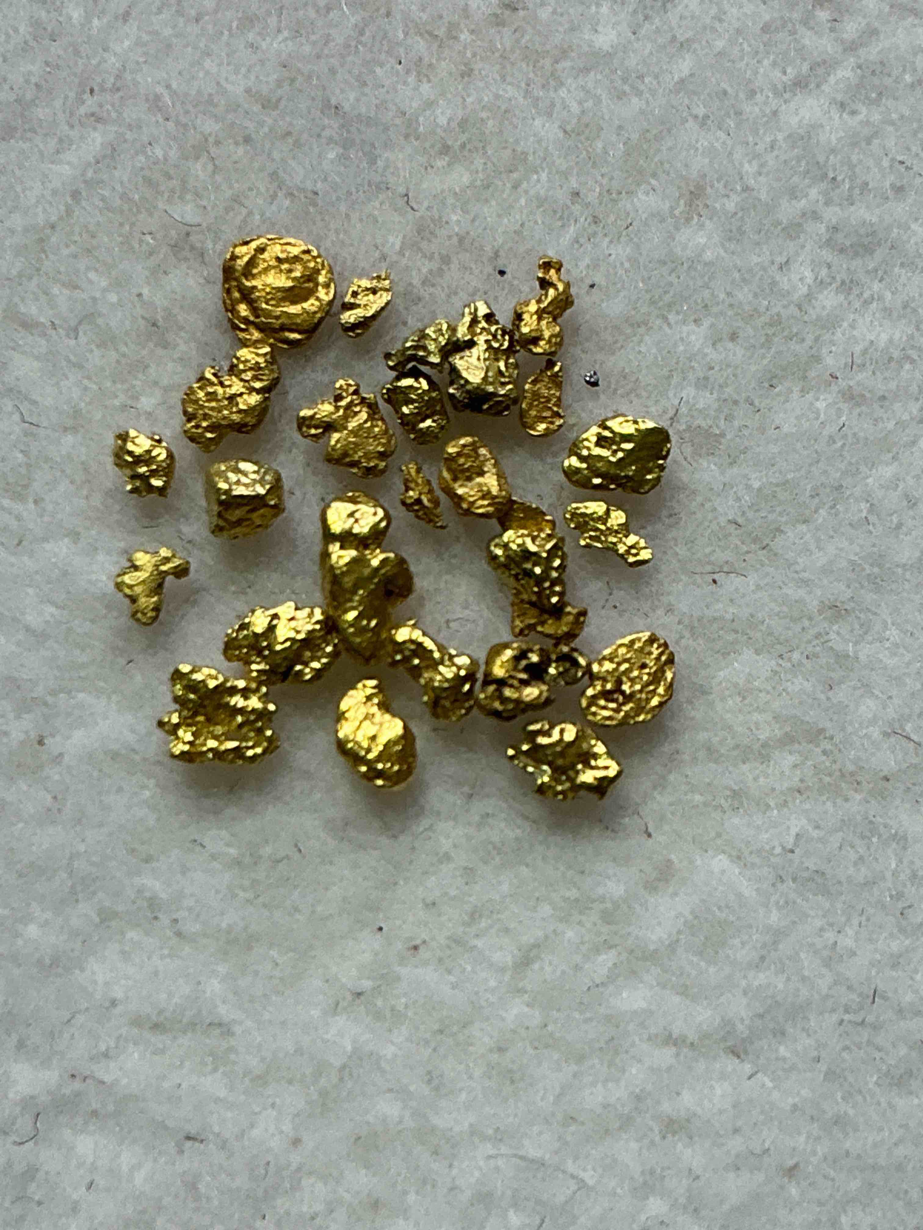 Collector’s Dream! Pokémon, Sports Cards, Gold & More!