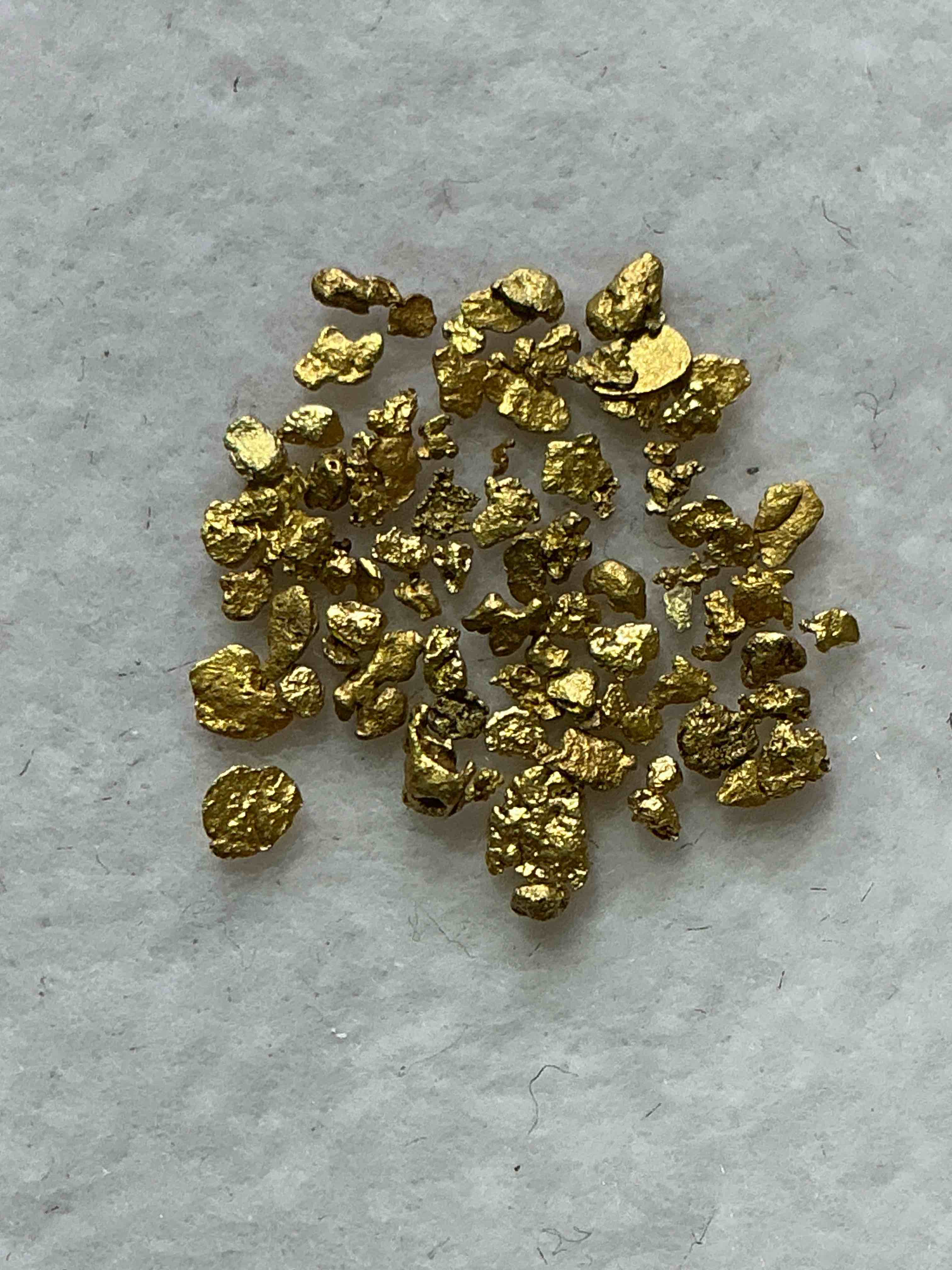 Collector’s Dream! Sports Cards, Pokémon, Gold & More!