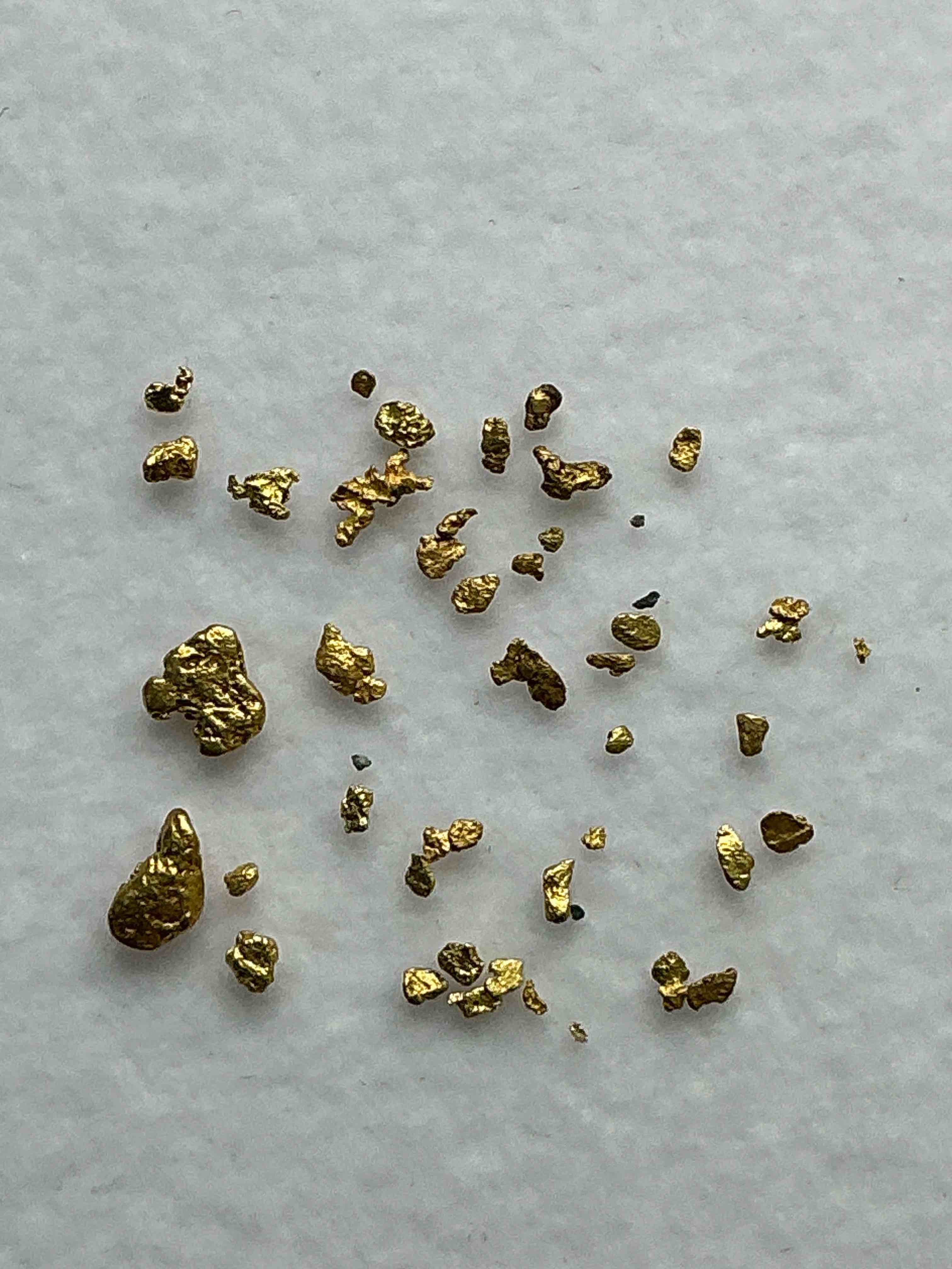 Collector's Dream! Sports Cards, Pokémon, Gold & More!