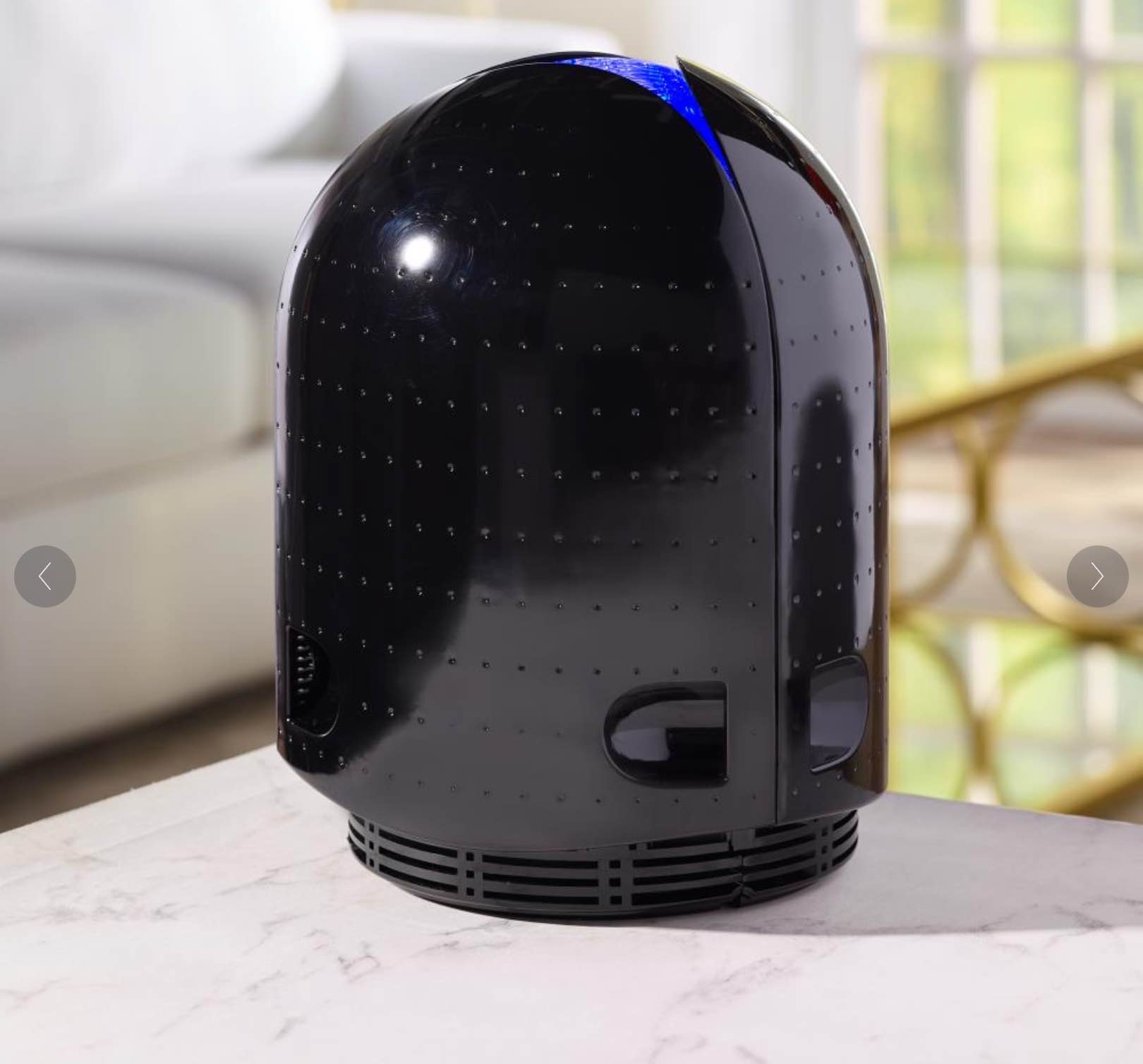 The Virus, Mold, And Germ Destroying Air Purifier (650' sq.)