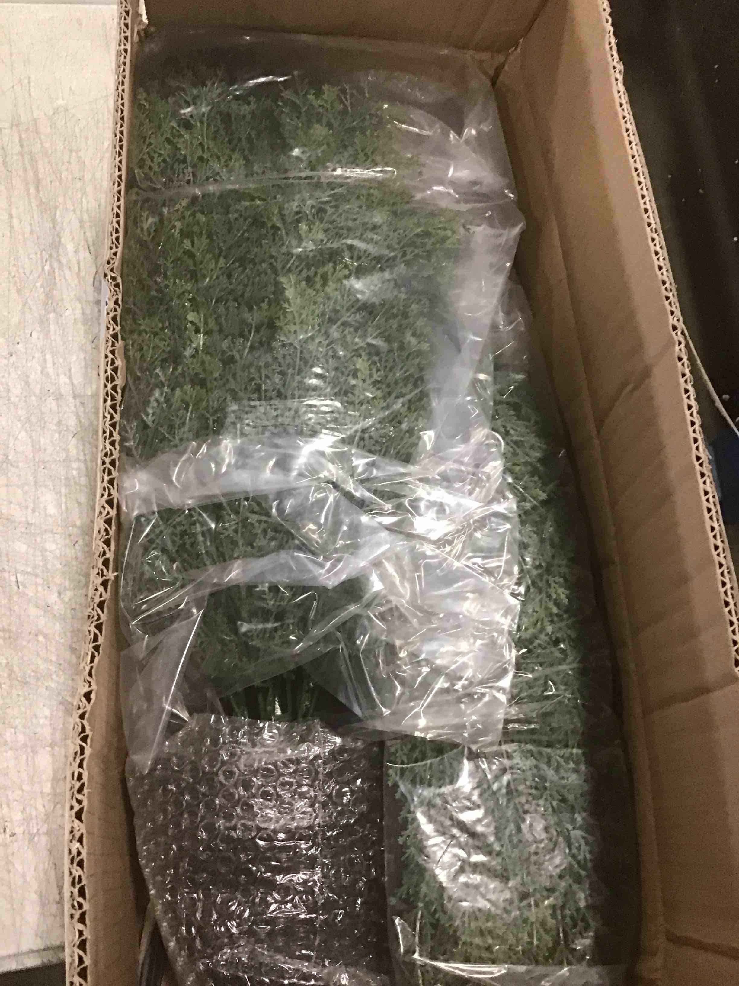 https://s3.amazonaws.com/lotting-images-prod/bidfta/GRA3652310_1746720486333.jpeg