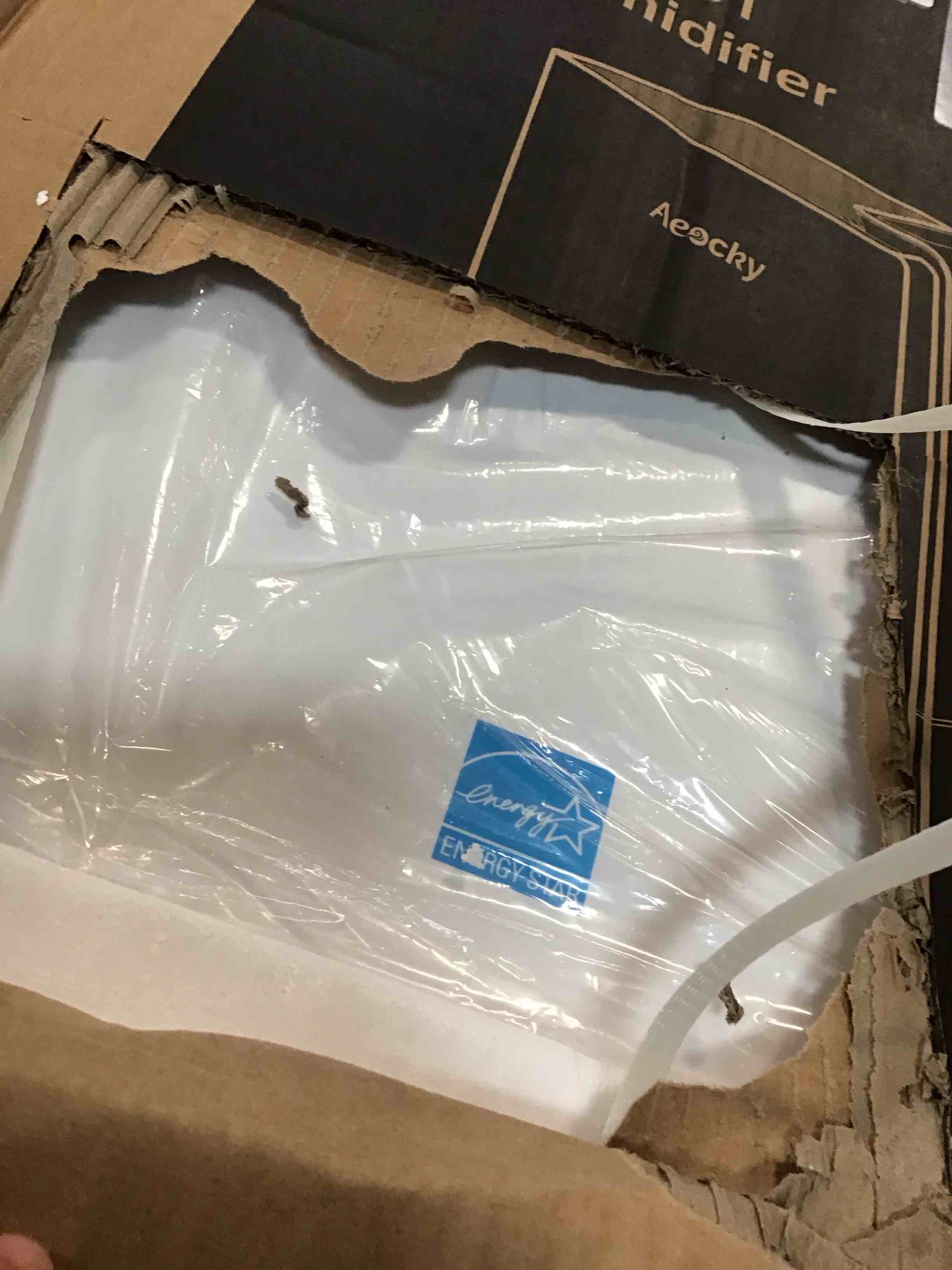 https://s3.amazonaws.com/lotting-images-prod/bidfta/GRA3656629_1751027659062.jpeg