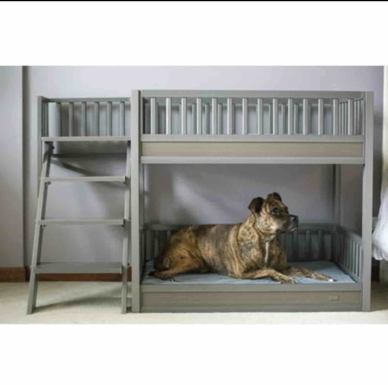 ( incomplete) New Age Pet ECOFLEX Aspen Dog Bunk Bed in Grey  Two Memory Foam Cushions
