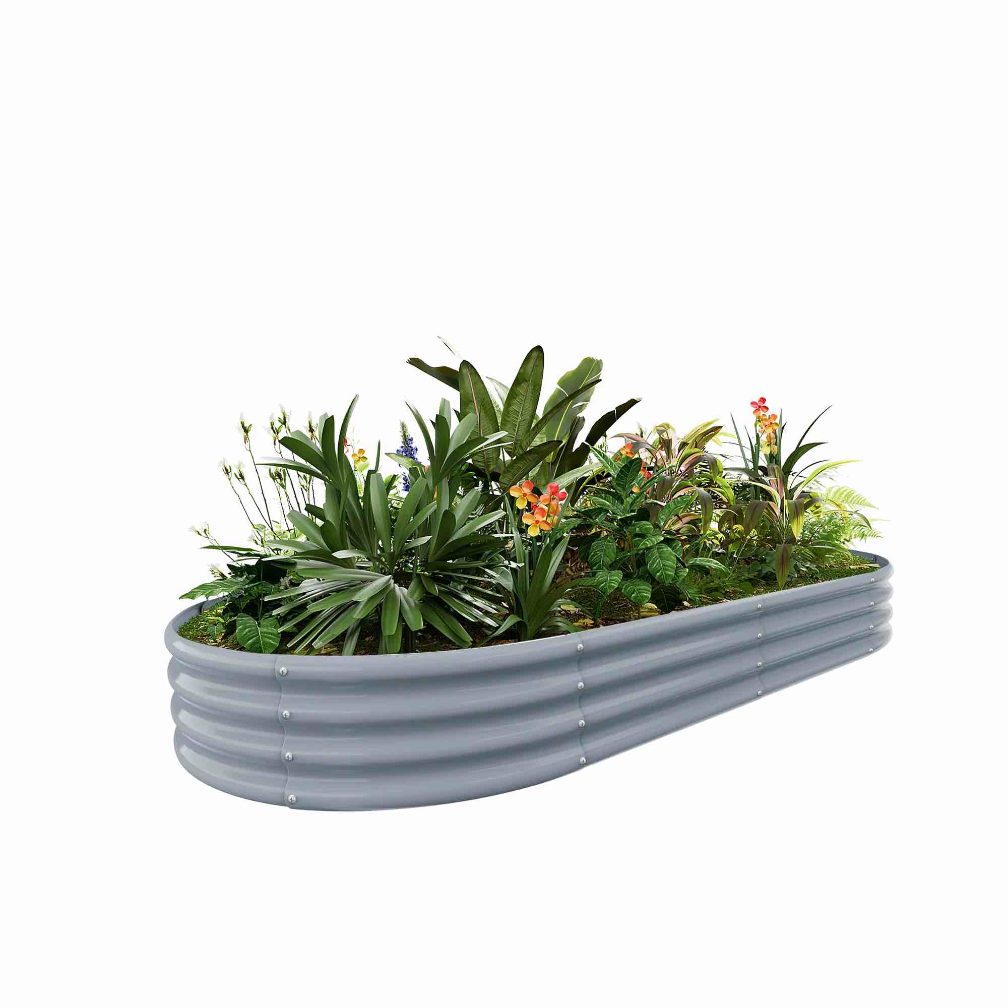 Oval 6x3x1ft Galvanized Raised Garden Bed