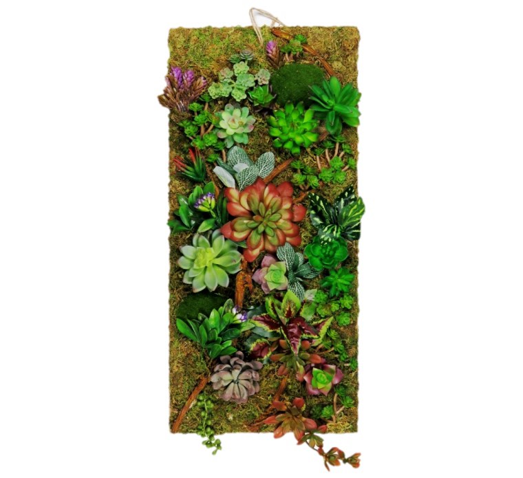 Wholesale Moss,moss decor;home decoration; art plants wall. (  Similar To The Stock 11.2 Cm ) 