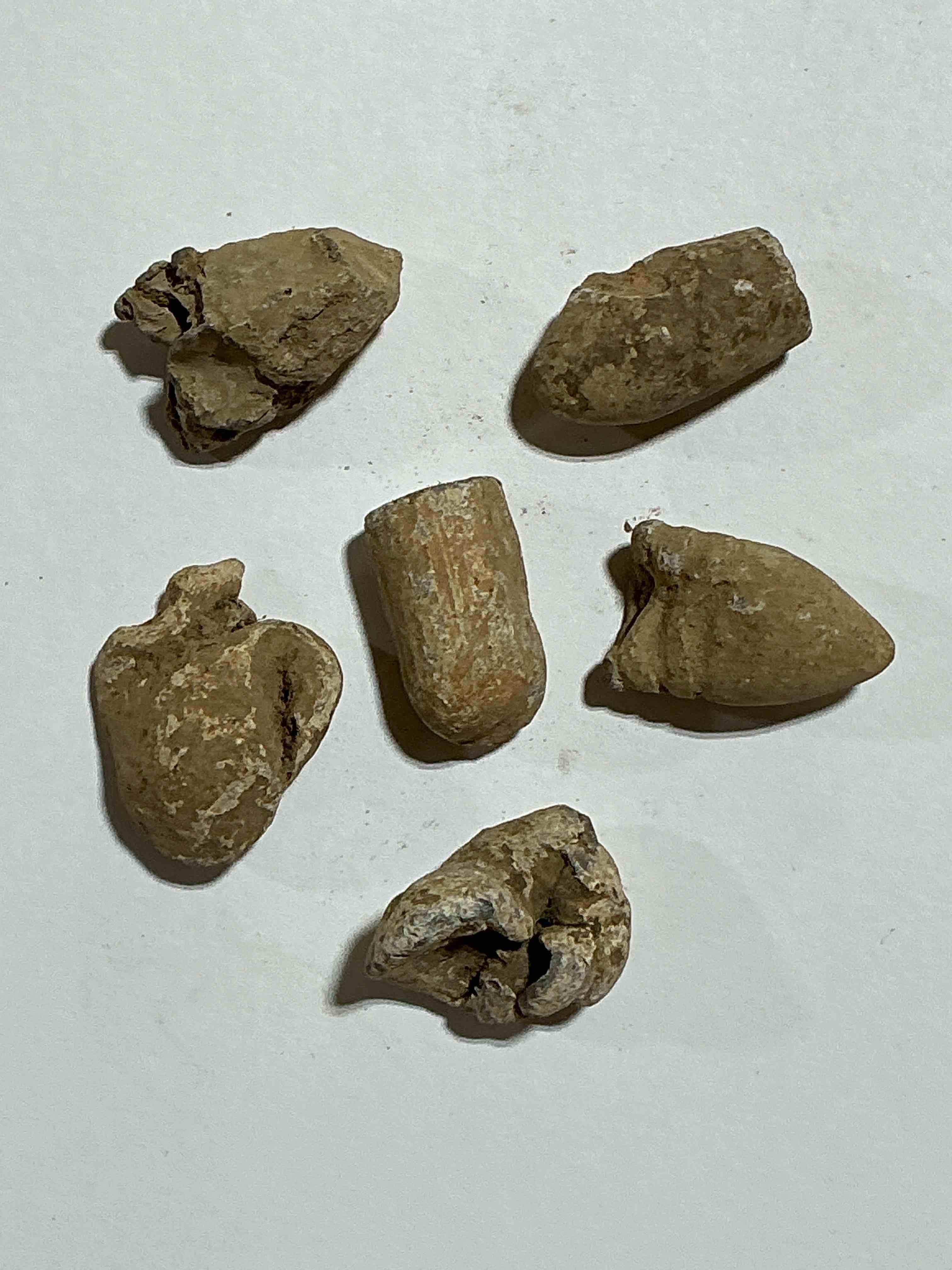 Condition photo showing Good Condition for Civil War Craziness! Featured Here Are 6 Bullets Straight From Civil War Era Battlefields! You Could Own A Very Important Piece Of American History! These Are VERY RARE And Difficult To Find! Take Advantage Of This Opportunity To Have American History In Your Hands!