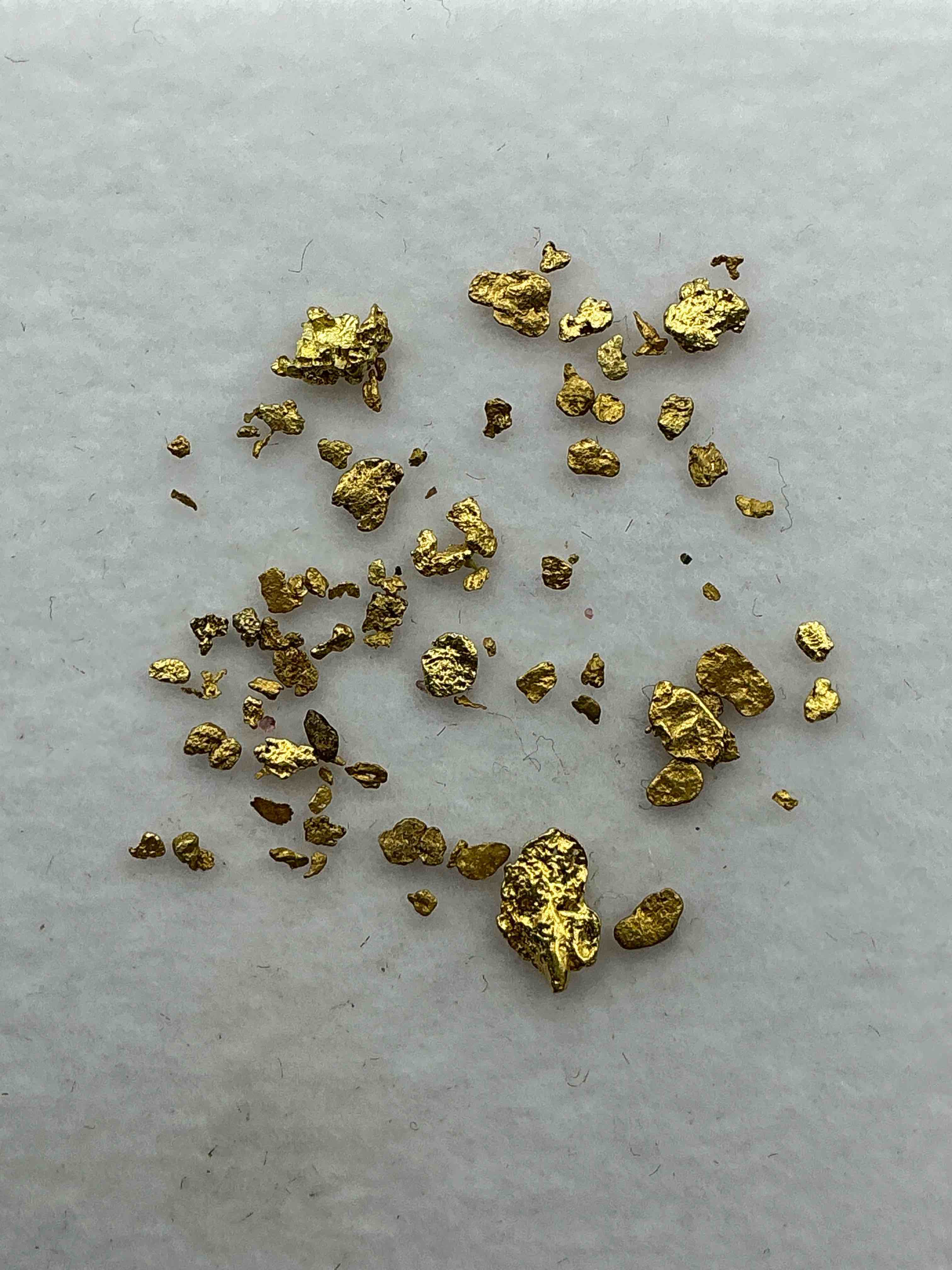 Gold Nuggets, Authentic! Wow! These Are Genuine Pure Gold Nuggets Prospected From North Carolina. Approximately 0.4 GM In Total Size/Weight For All Nuggets. This Type Of Gold In Nuggets Form That Has Not Been Processed Is Extremely Hard To Find & Is Much More Rare Than Processed Gold In Any Form. U.S. Dime Shown In Image Is For Visual Size Reference Only (Not Included). Own Incredibly Cool Pieces Of Gold & An Awesome Investment In Fine U.S. Gold Precious Metal! Every Gold Nugget Is "One Of A Kind!"