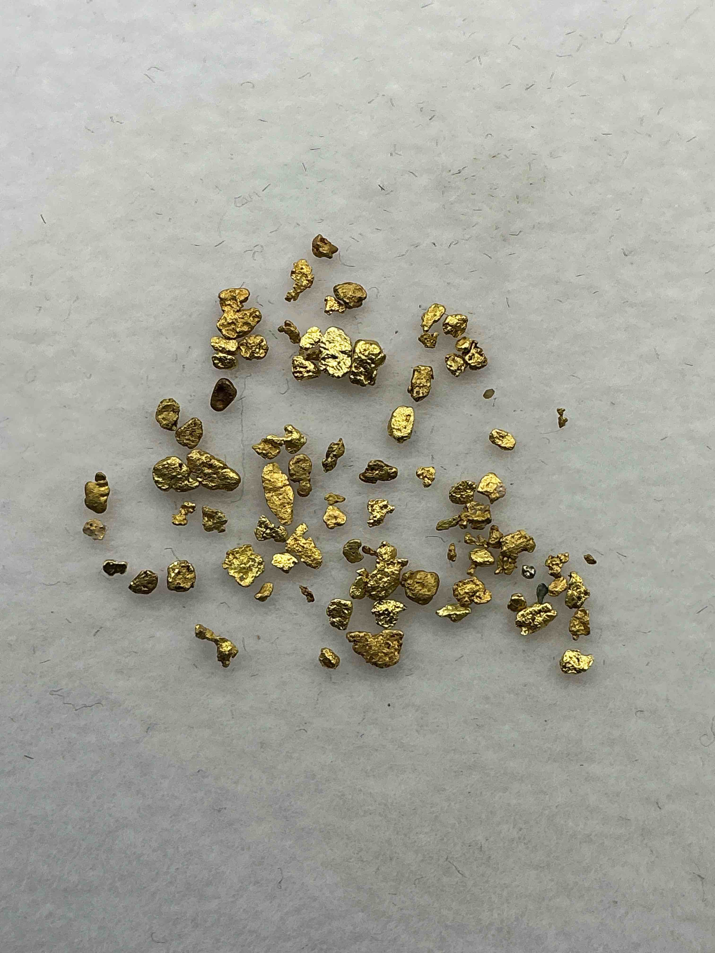 Collector's Dream! Gold, Silver, Artifacts, Sports Cards, Pokémon & More! 