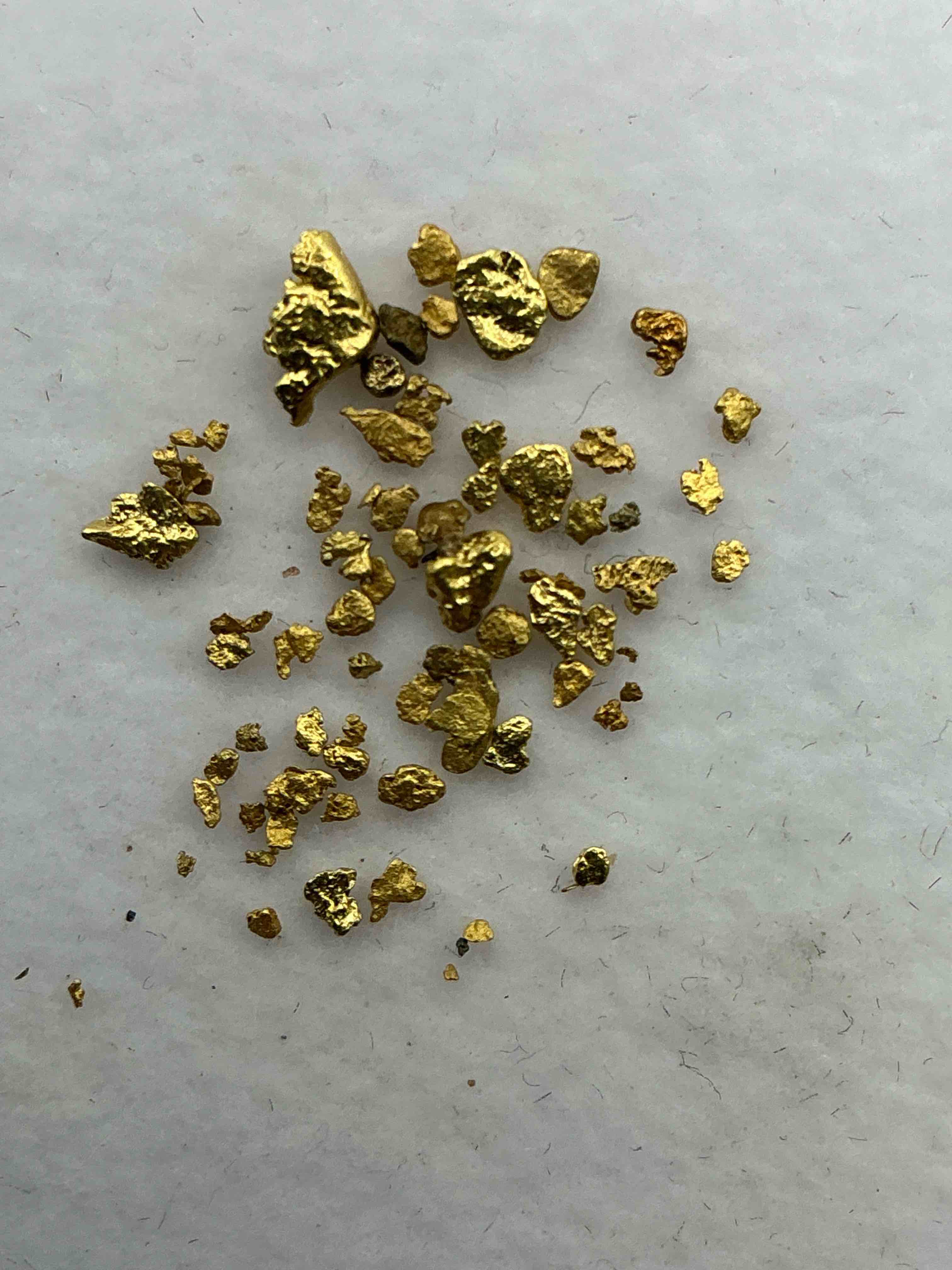 Collector’s Dream! Gold, Silver, Artifacts, Sports Cards, Pokémon & More!