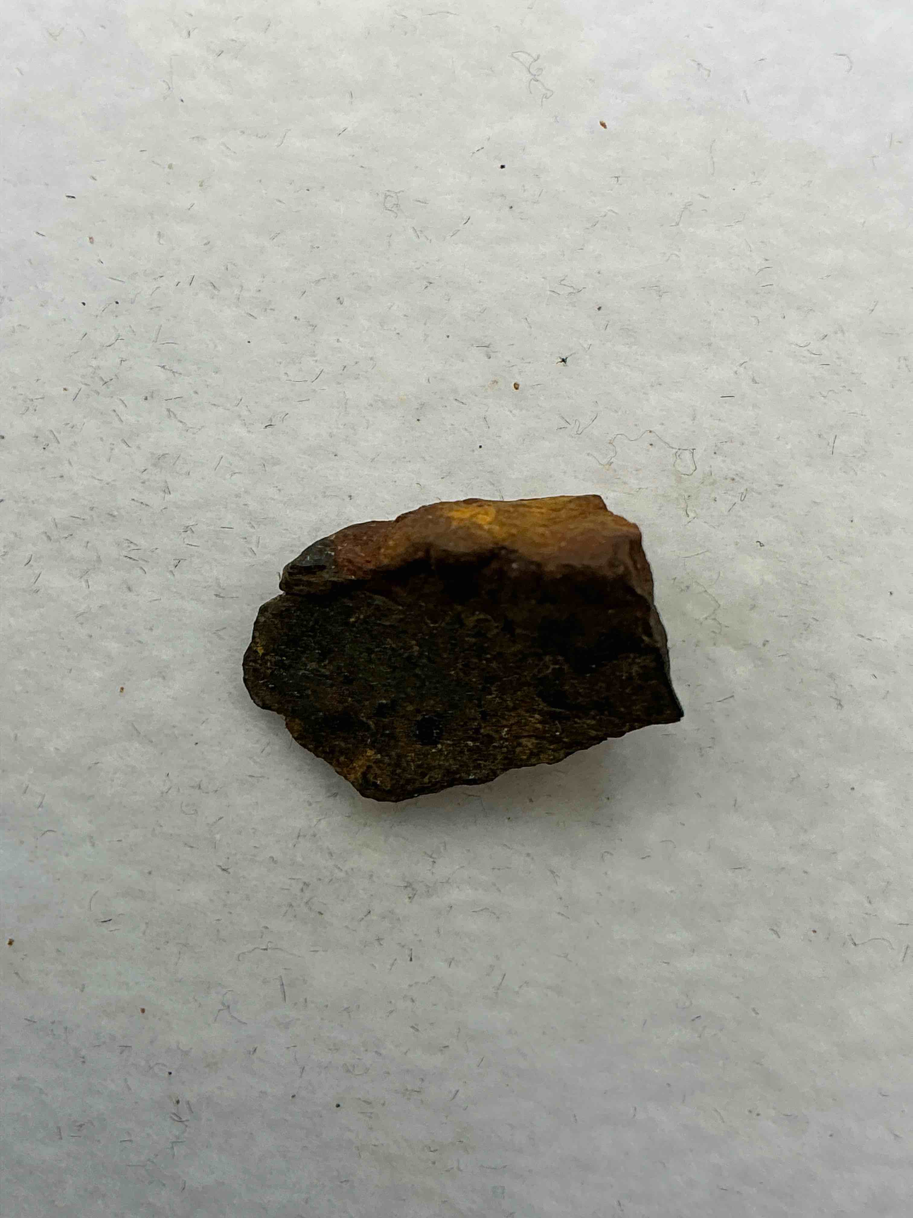 Collector's Dream! Silver, Artifacts, Sports Cards, Pokémon & More!