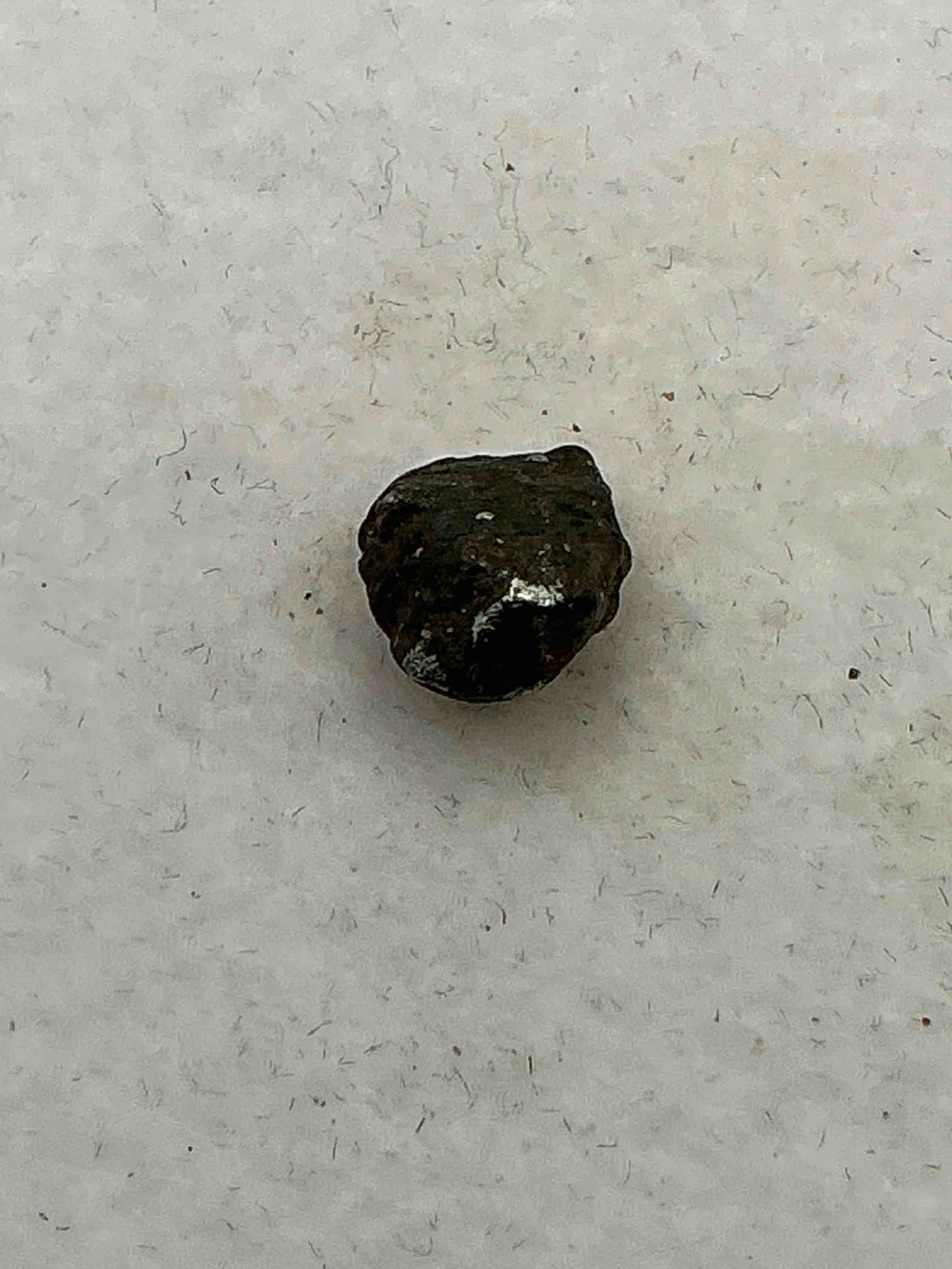 Genuine Meteorite Piece! Nugget Of NANTAN Meteorite Which Was Discovered In 1958 & Fell From The Sky In China In The Year 1516! Very Rare & Near Impossible To Get! Own An Authentic Piece Of Meteorite That Fell From The Sky In 1958!  