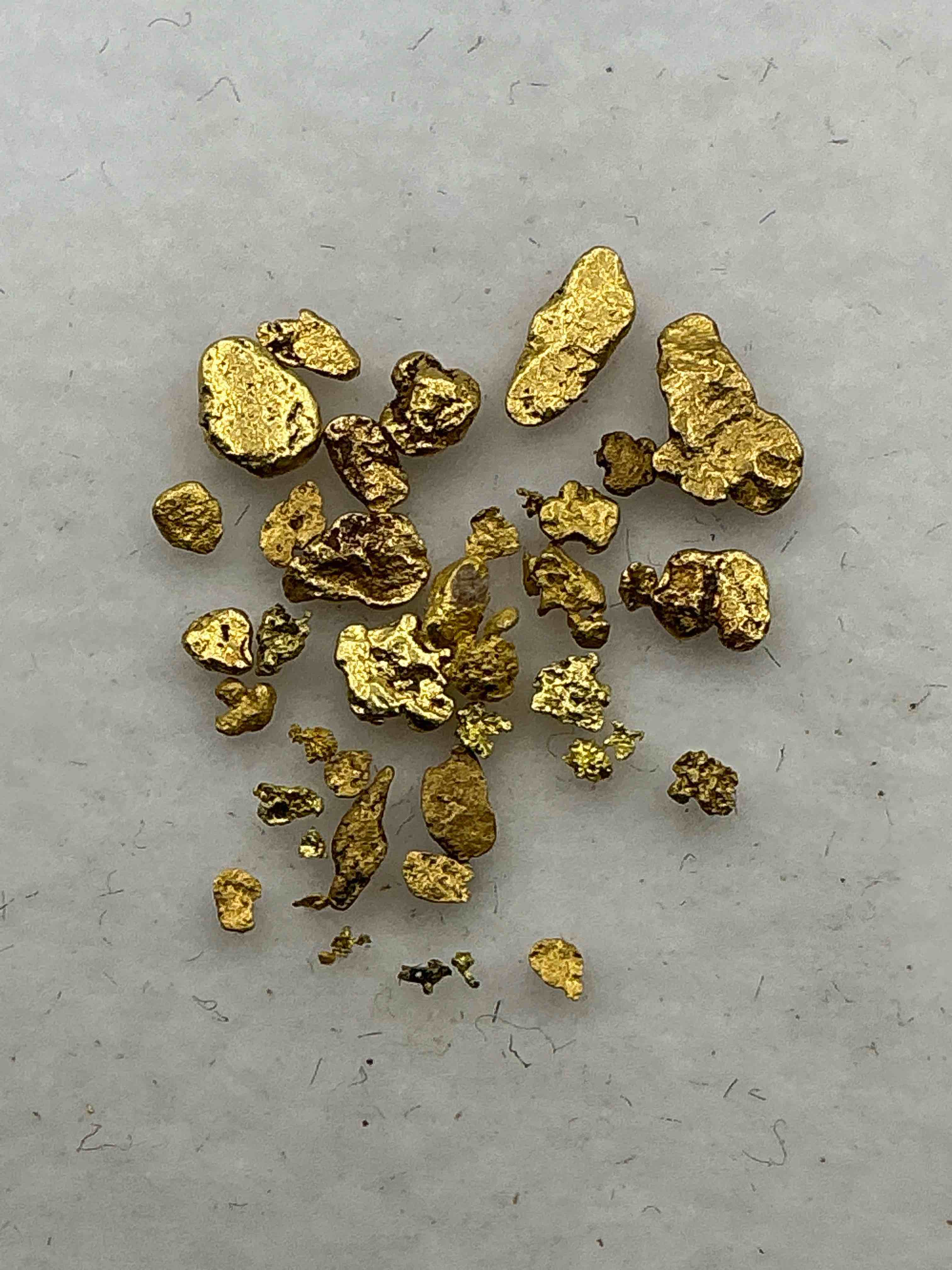 gold nuggets, authentic! wow! these are genuine pure gold nuggets prospected from north carolina. approximately 0.5 gm in total size/weight for all nuggets. this type of gold in nuggets form that has not been processed is extremely hard to find & is much more rare than processed gold in any form. u.s. dime shown in image is for visual size reference only (not included). own incredibly cool pieces of gold & an awesome investment in fine u.s. gold precious metal! every gold nugget is "one of a kind!"