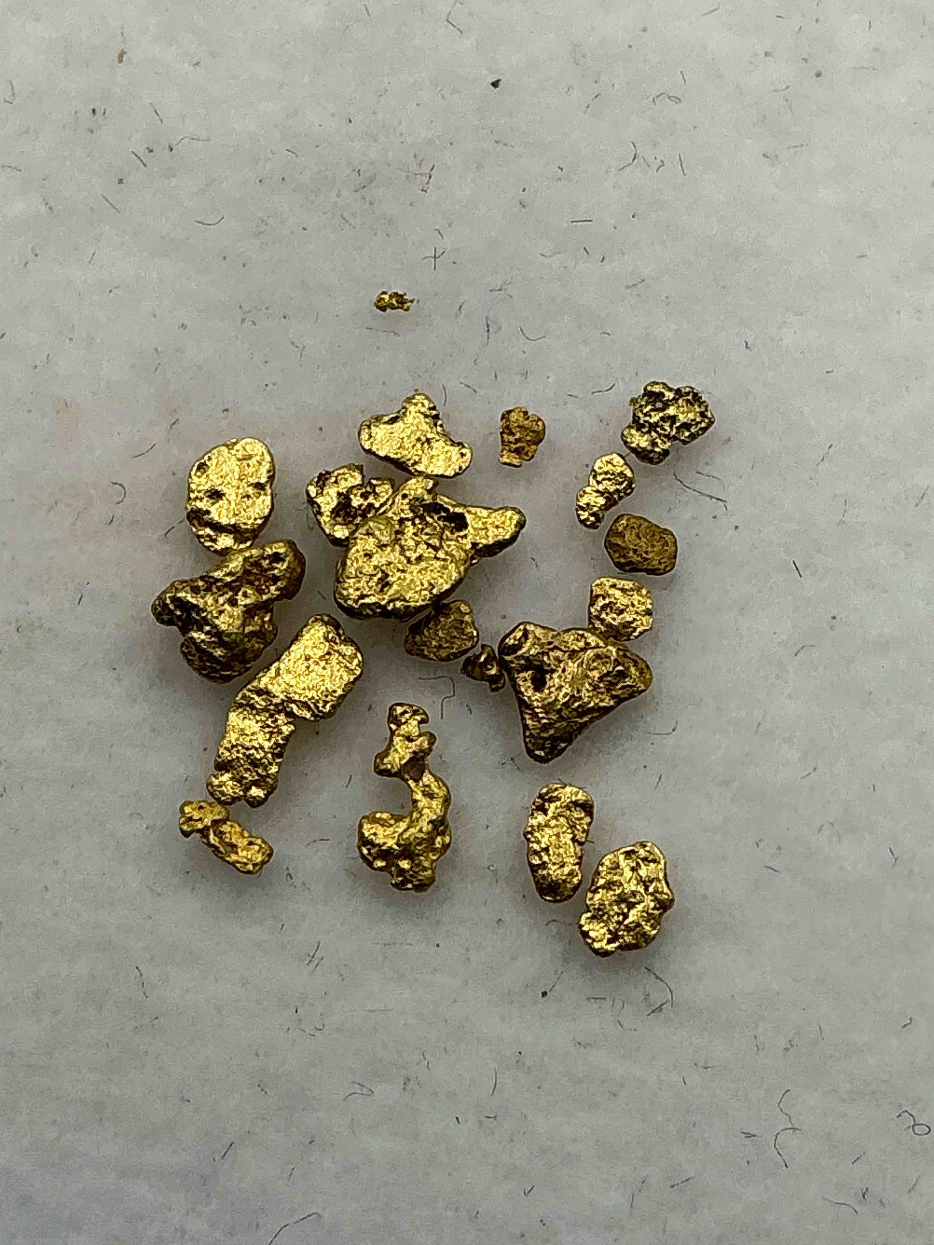 gold nuggets, authentic! wow! these are genuine pure gold nuggets prospected from north carolina. approximately 0.5 gm in total size/weight for all nuggets. this type of gold in nuggets form that has not been processed is extremely hard to find & is much more rare than processed gold in any form. u.s. dime shown in image is for visual size reference only (not included). own incredibly cool pieces of gold & an awesome investment in fine u.s. gold precious metal! every gold nugget is "one of a kind!"