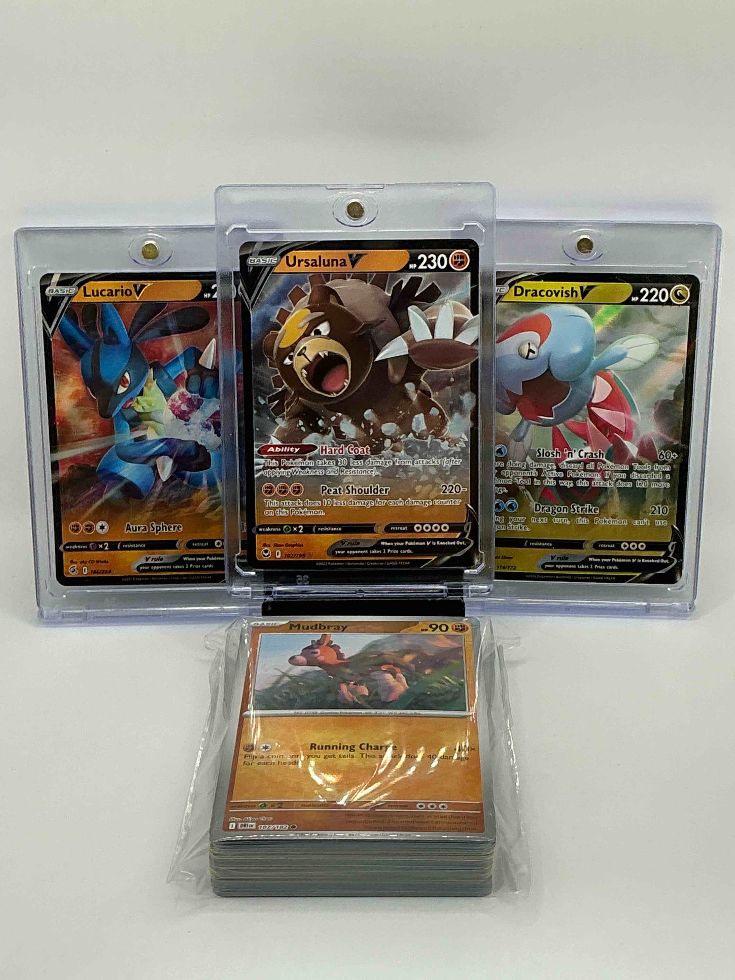 Pokémon Palooza! Ursaluna V! Dracovish V! Lucario V! Along With 50 Other Pokémon Heroes, Holos, Legends & Commons!
