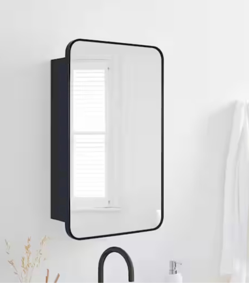 Garnes 24 in. W x 30 in. H Rectangular Recessed or Surface Mount Metal Framed Medicine Cabinet with Mirror in Black