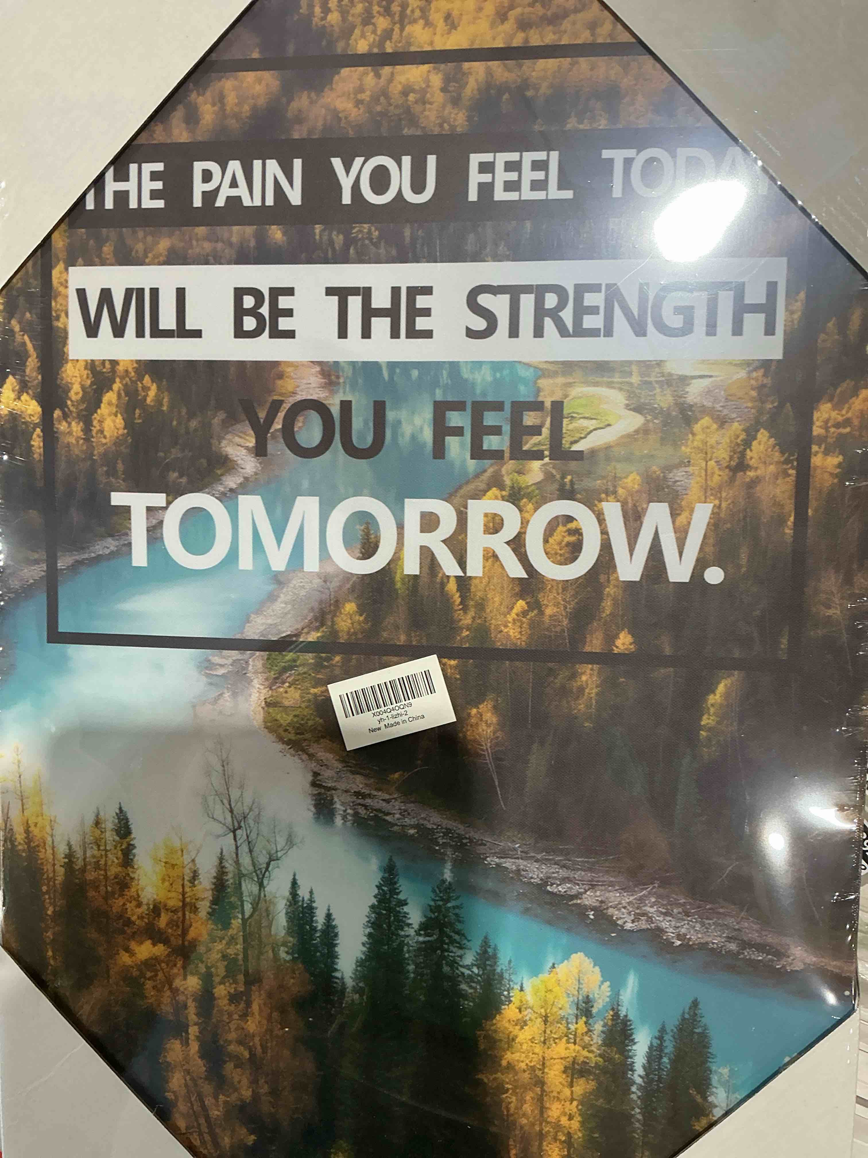 Condition photo showing New/Like New for inspirational canvas decoration painting, landscape canvas wall art?suitable for library, school, gym,office? living room decor,6-pack?tabletop/hanging(29 x 38cm) framed a inspirational a1