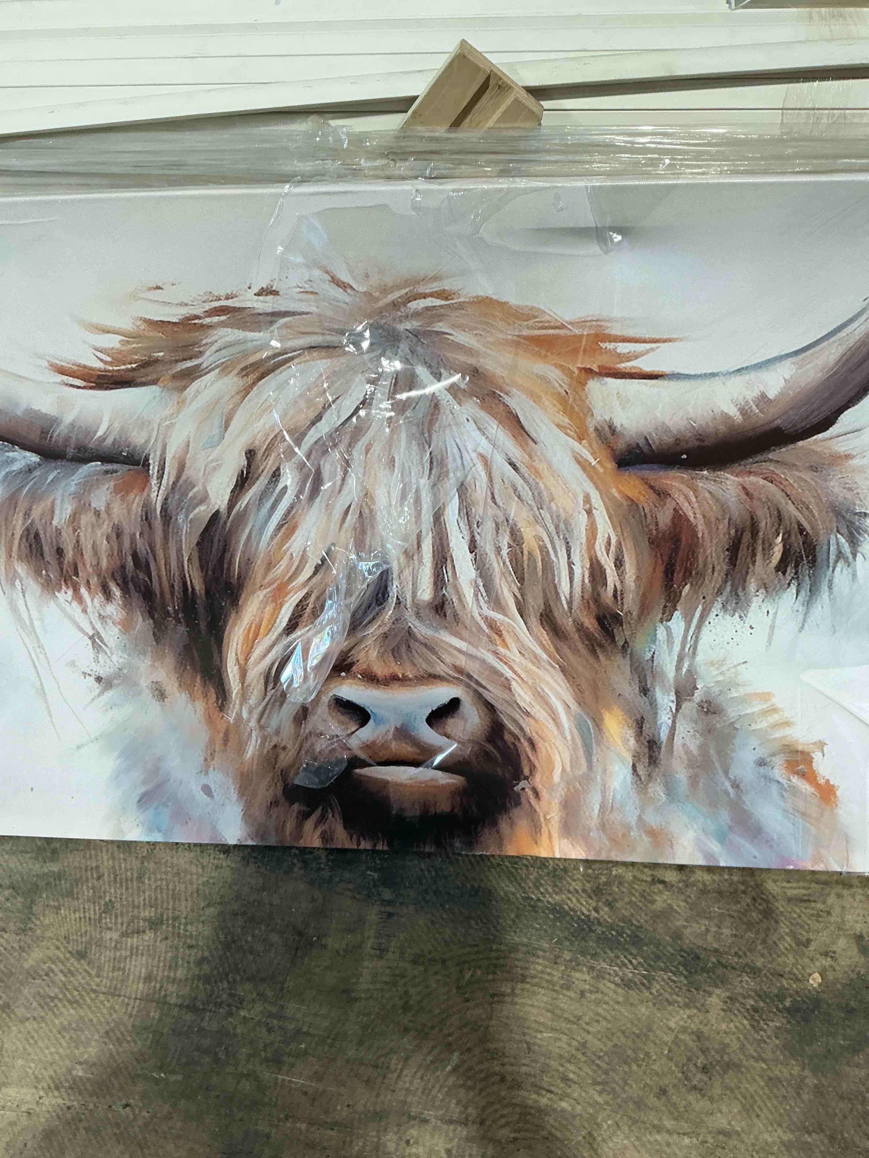 Condition photo showing Good Condition for doartdo highland cow canvas prints wall art colorful graffiti animal picture highland cattle wall decor for living room farmhouse bathroom decor (24x36inch)