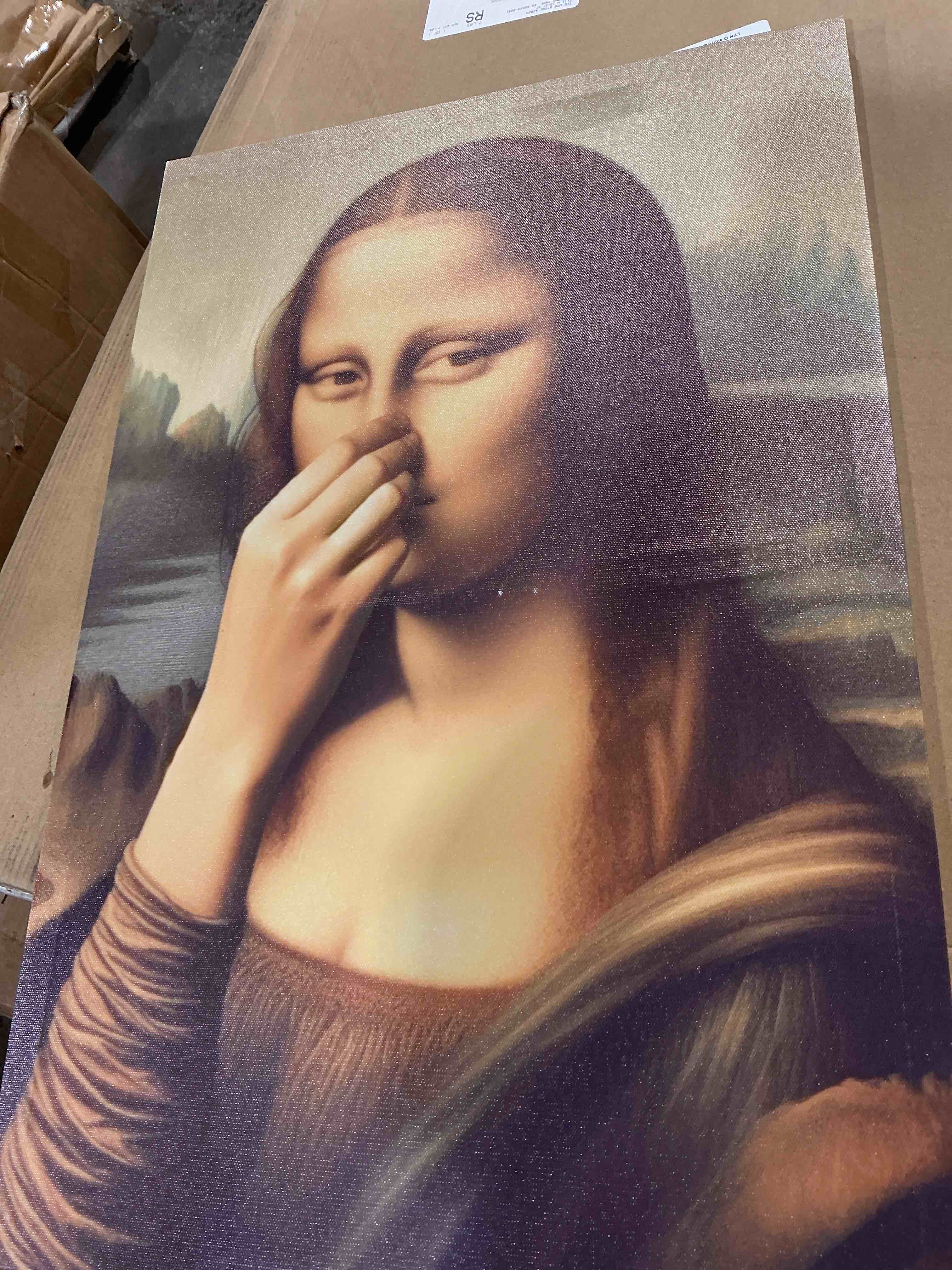 Condition photo showing Good Condition for funny bathroom canvas wall art vintage mona lisa painting pictures wall decor humor amusing toilet art pinching nose poster prints mona lisa artwork for bathroom home decor 8x10 in wrapped canvas