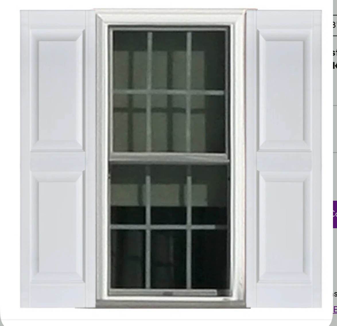 Premier Raised Panel Shutters (Set of 2) 