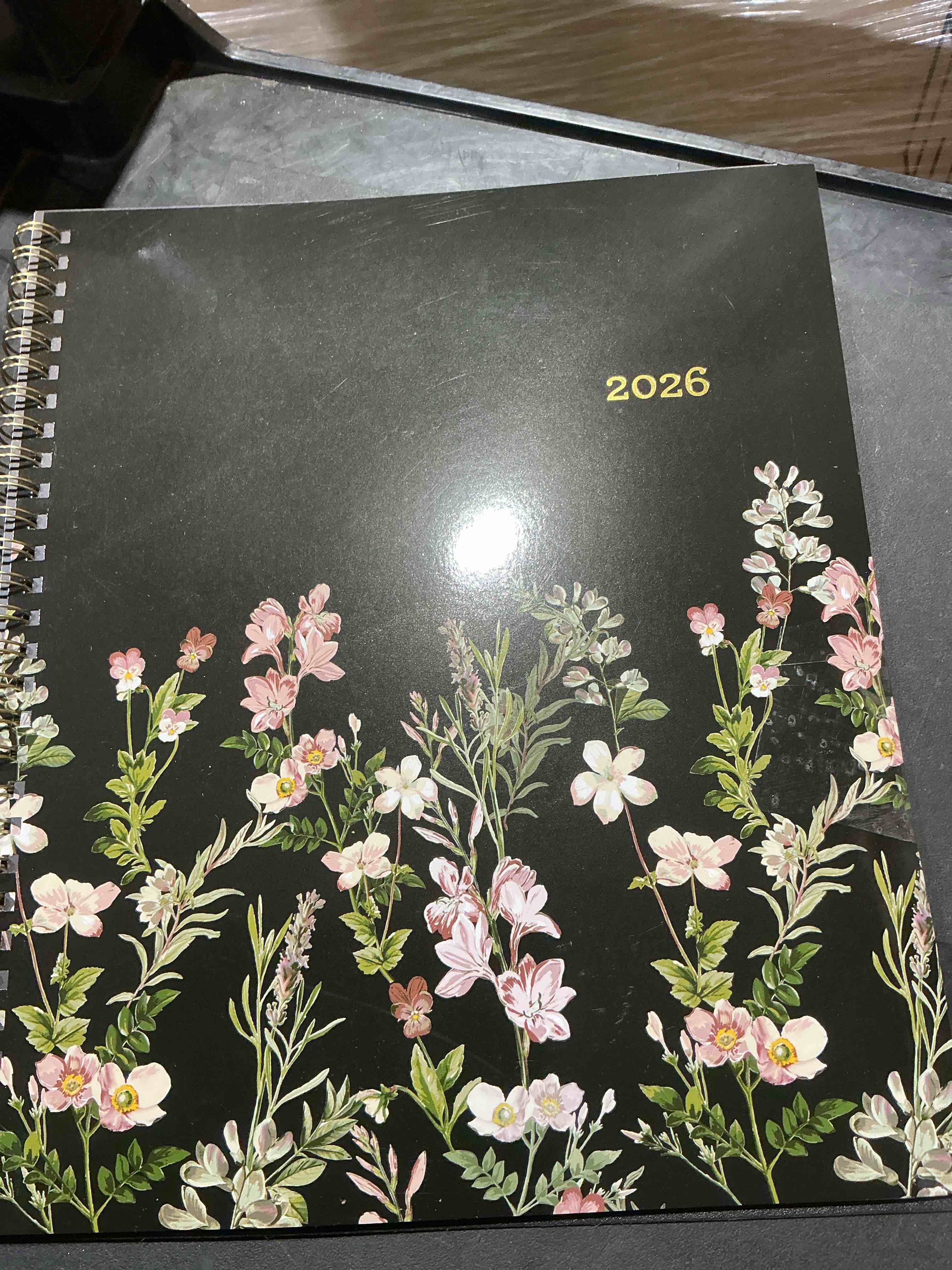Condition photo showing New/Like New for 2025 blue sky nevaeh 5" x 8" weekly & monthly planner plastic cover multicolor (143946-25)