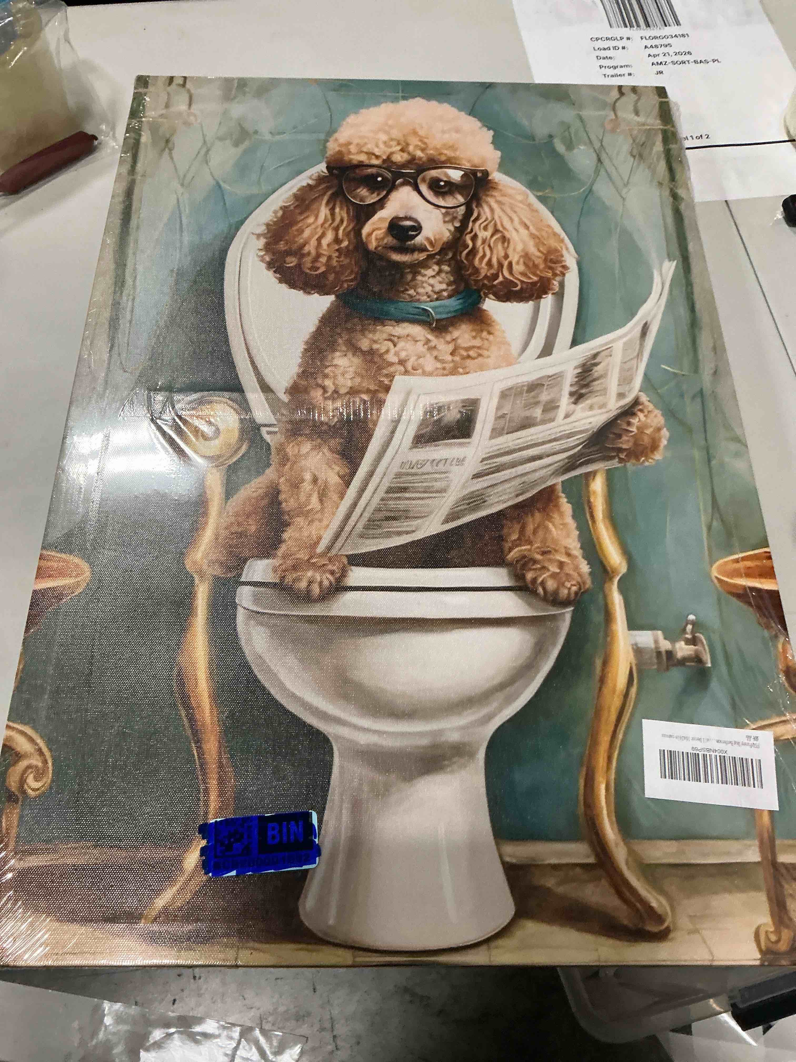 Condition photo showing New/Like New for fgq funny dog bathroom canvas wall art cute poodle on the toilet reading newspaper painting picture goldendoodle in shower humorous animal poster print artwork for kids restroom wall decor 16x24in poodle canvas 16"w x 24"l