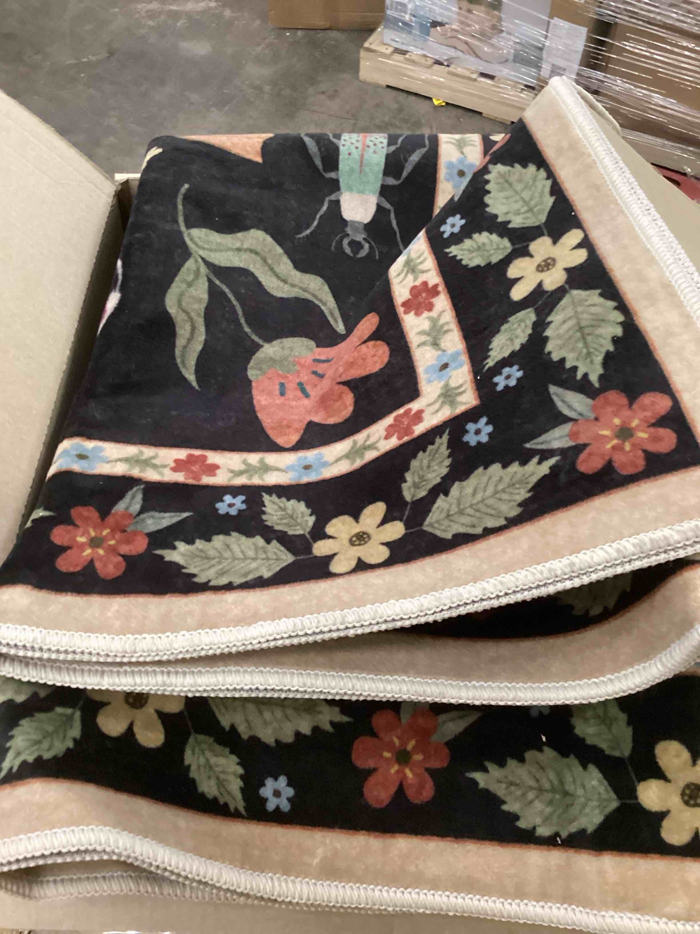 Condition photo showing Good Condition for Lahome Insect 5x7 Area Rugs for Living Room, Soft Washable Rugs for Bedroom Ultra-Thin Non Slip Black Rug, Stain Resistant Throw Rug Carpet for Office Nursery Dining Room(5'x7',Black)