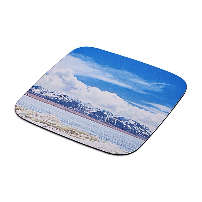 Pack of 2 Staples Mouse pad